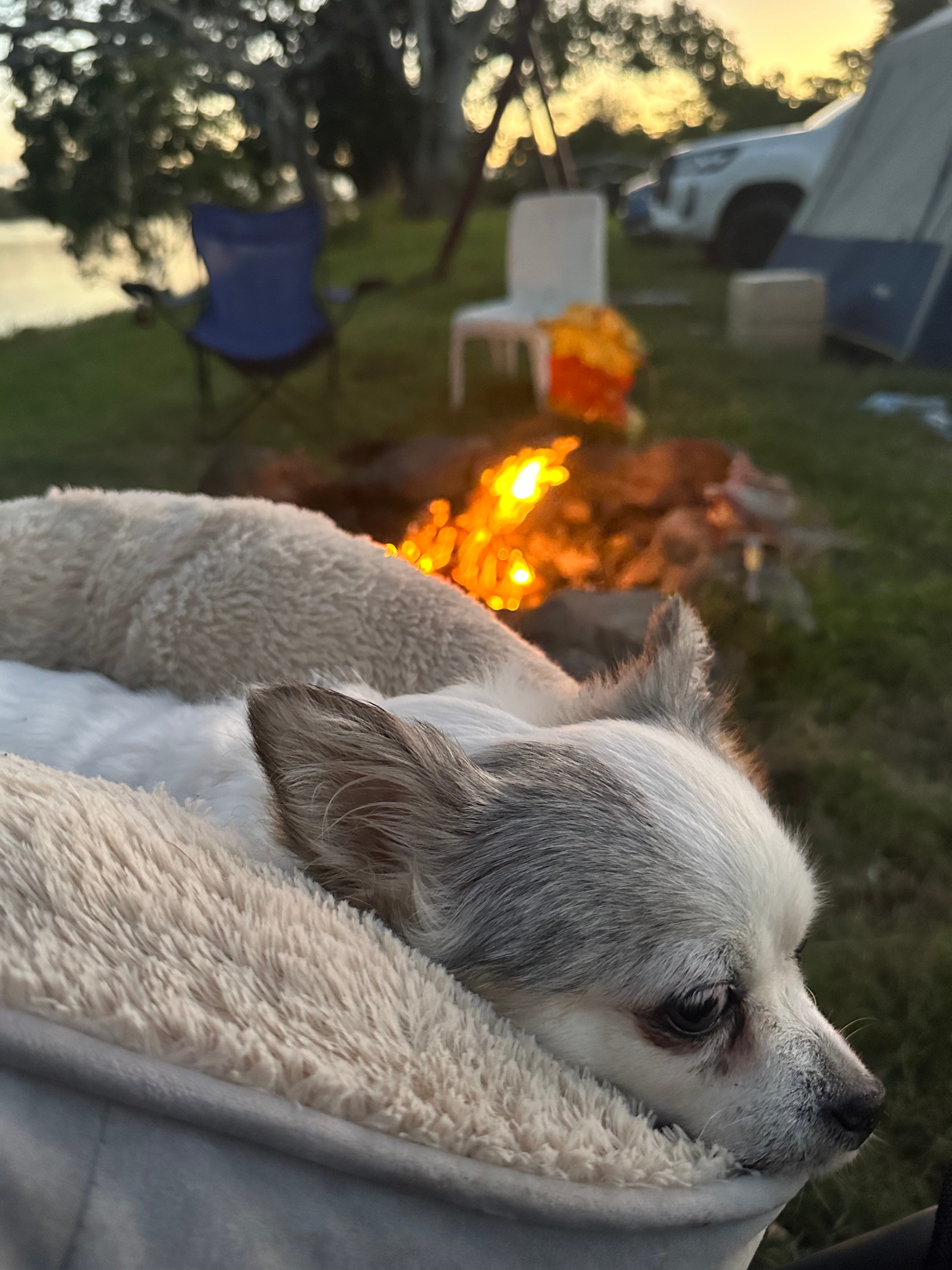 Manning River Waterfront Camping