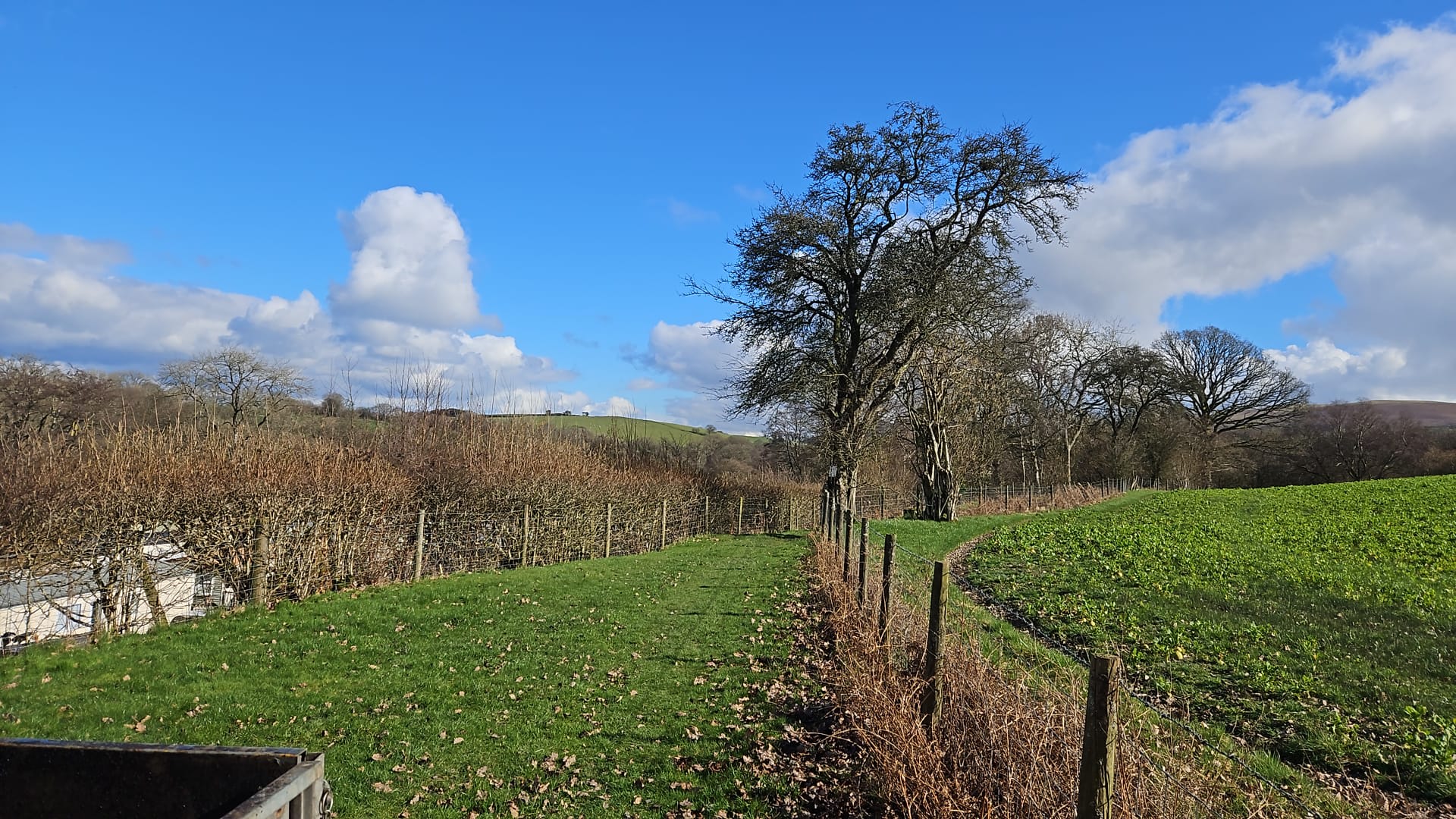 Powys River Pods