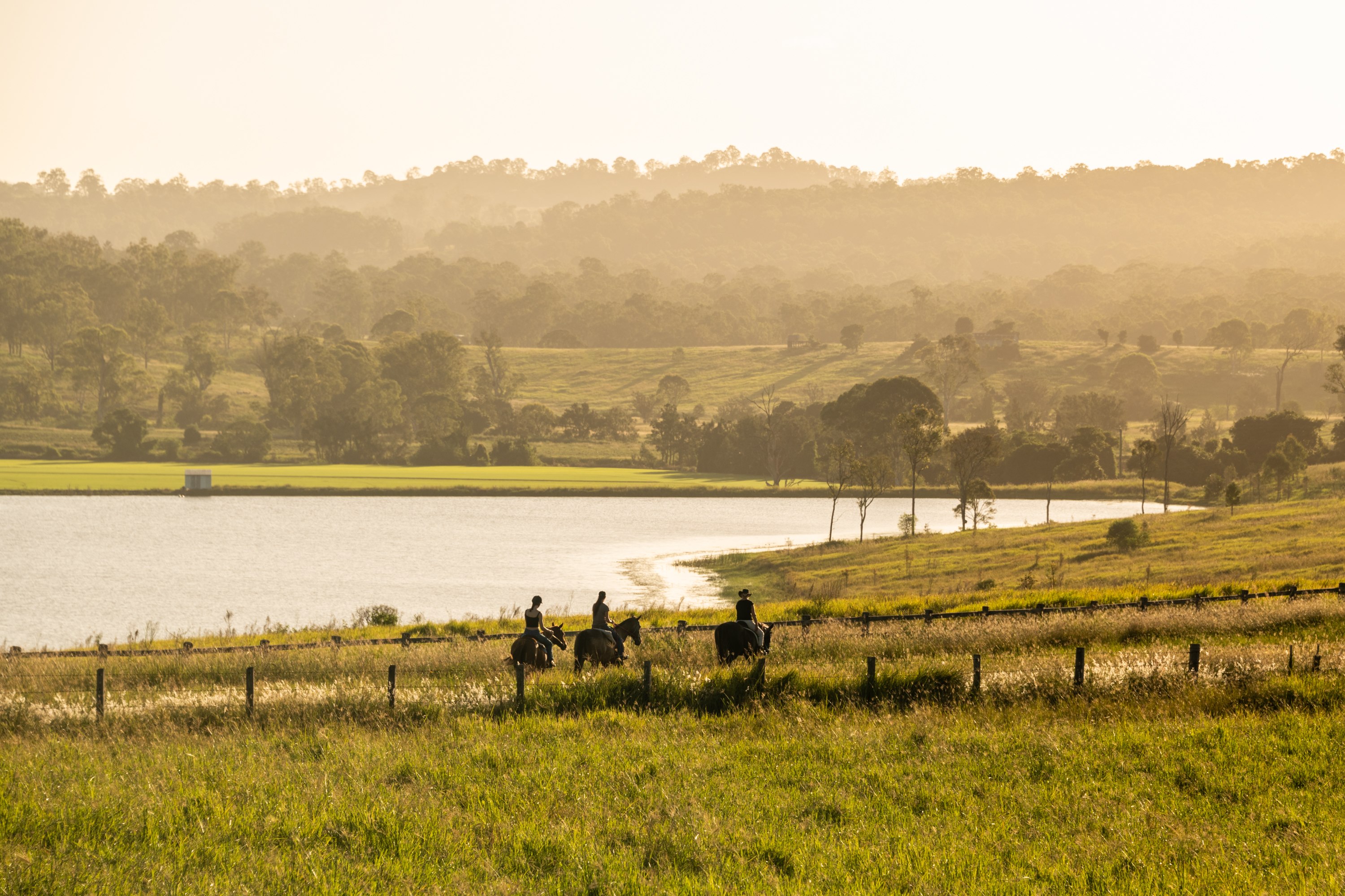 Horseback riding at sunset 