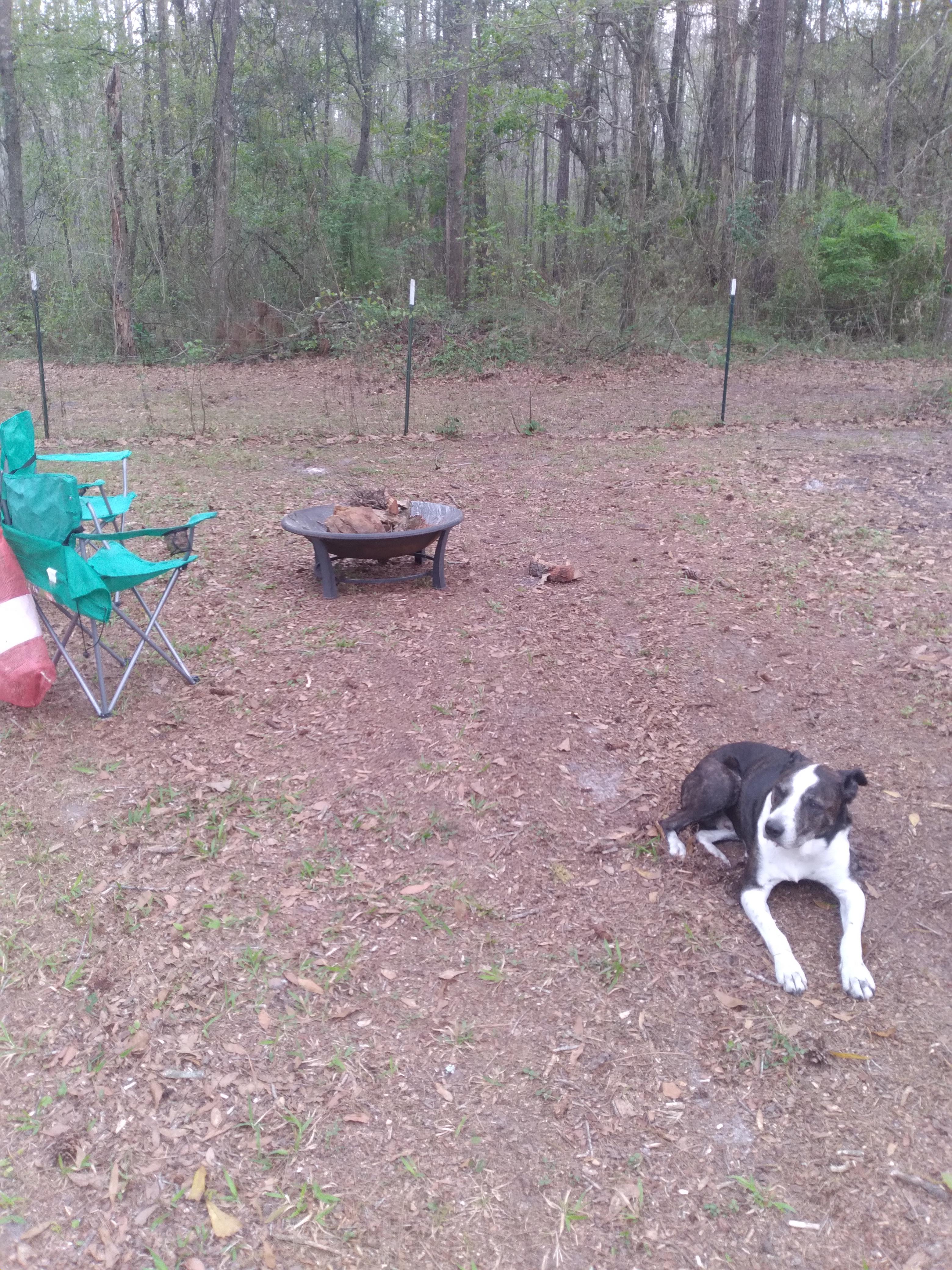 Tallahassee Outskirts Hideaway