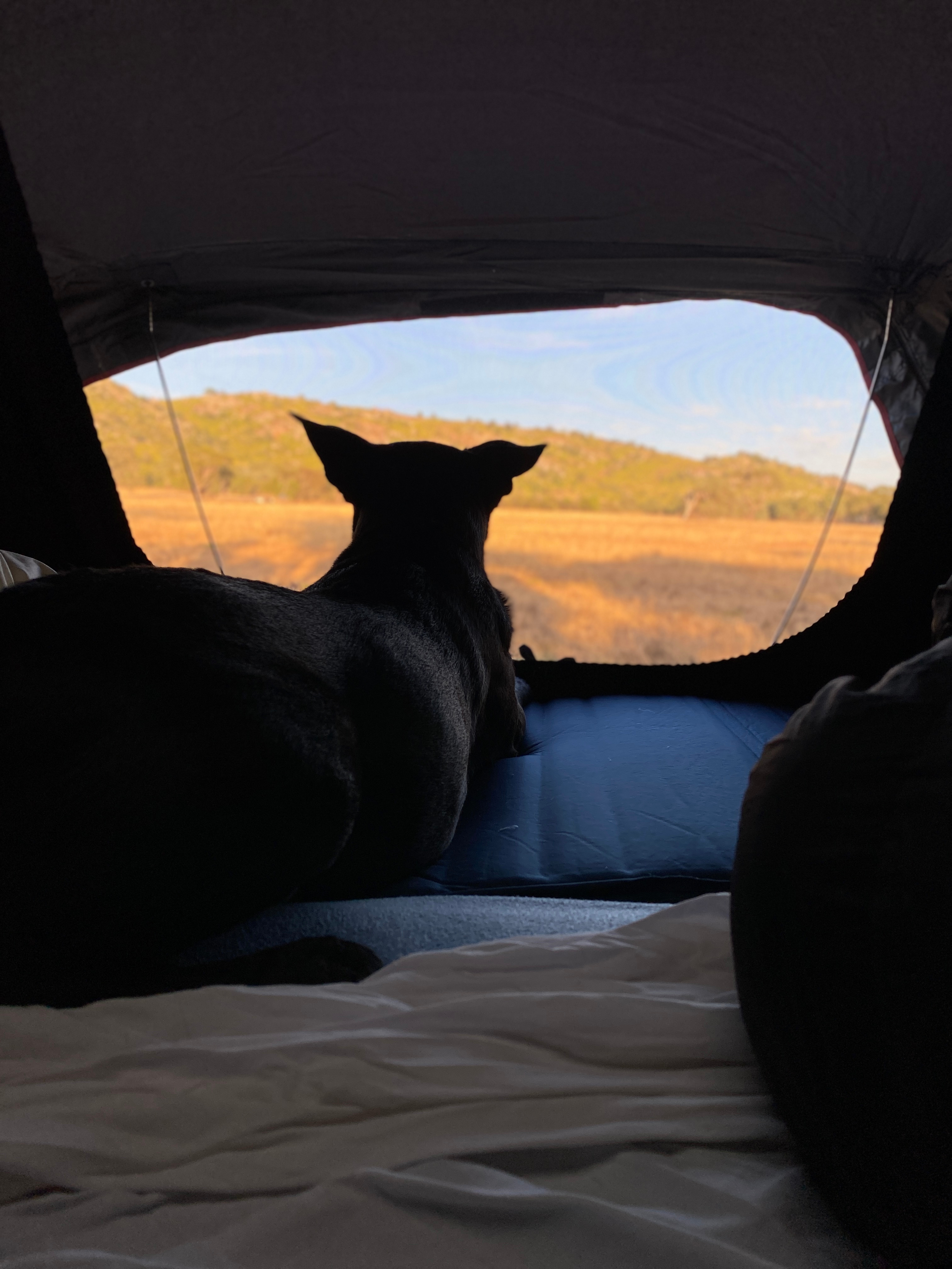 Little River Camp