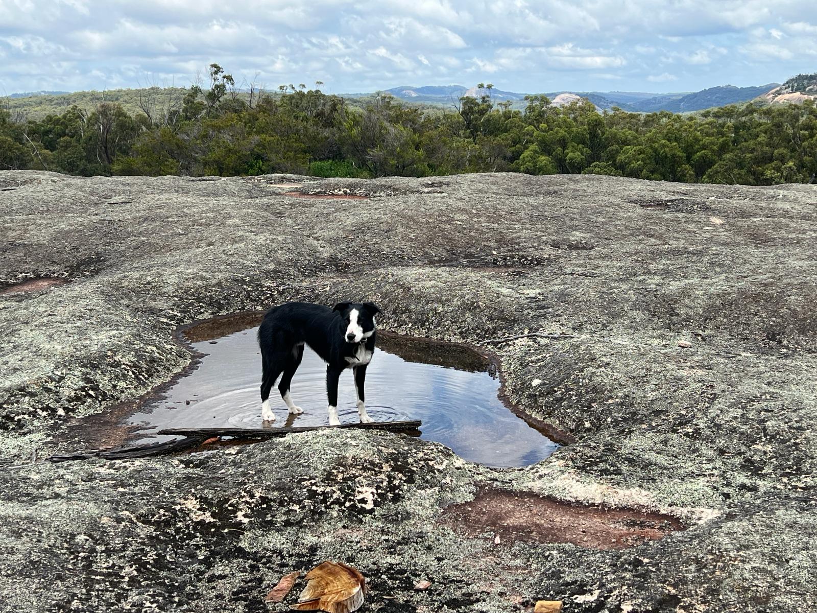 Farrup Bush Camp