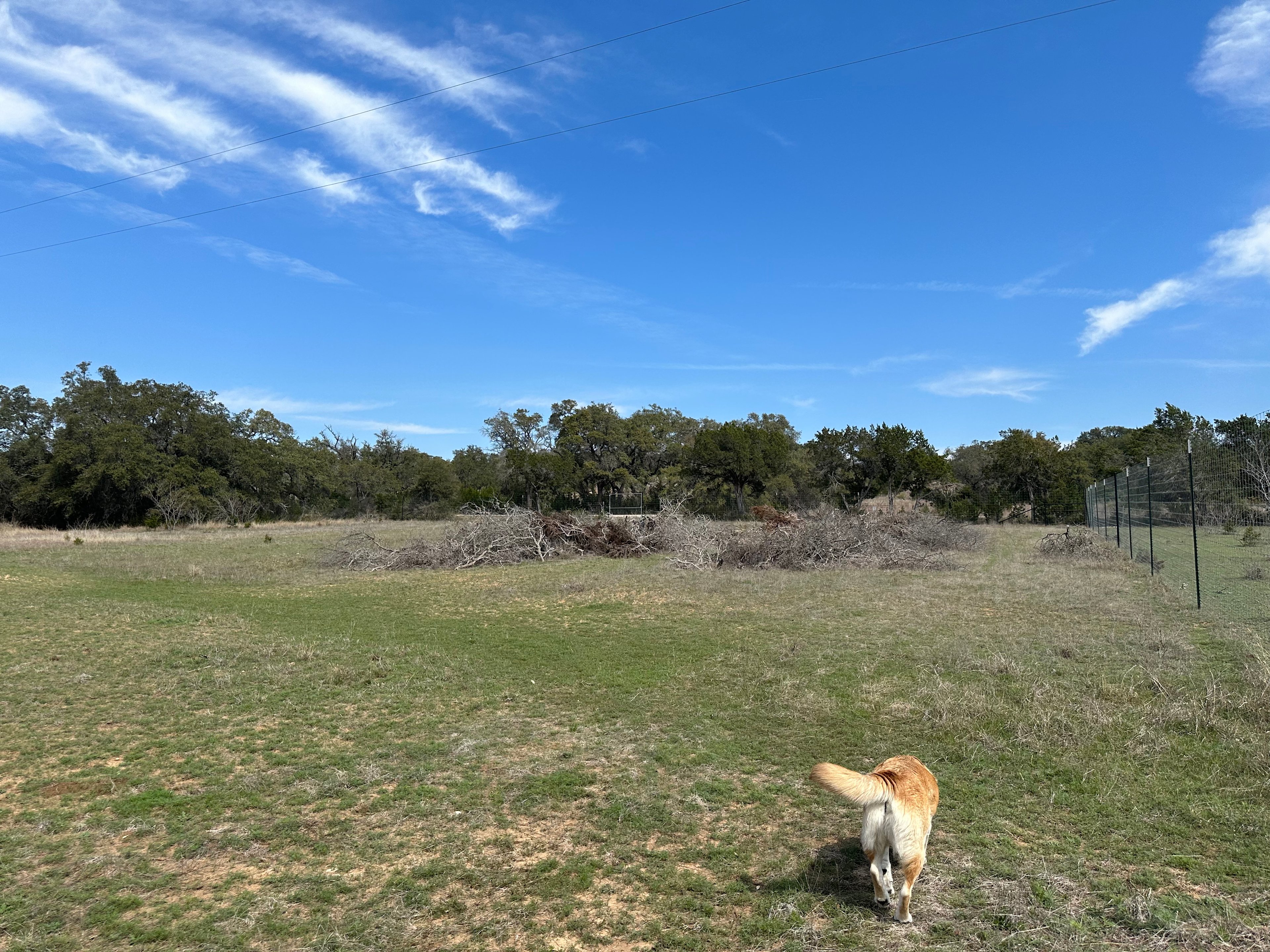 Hamilton Pool Vineyards & Farms