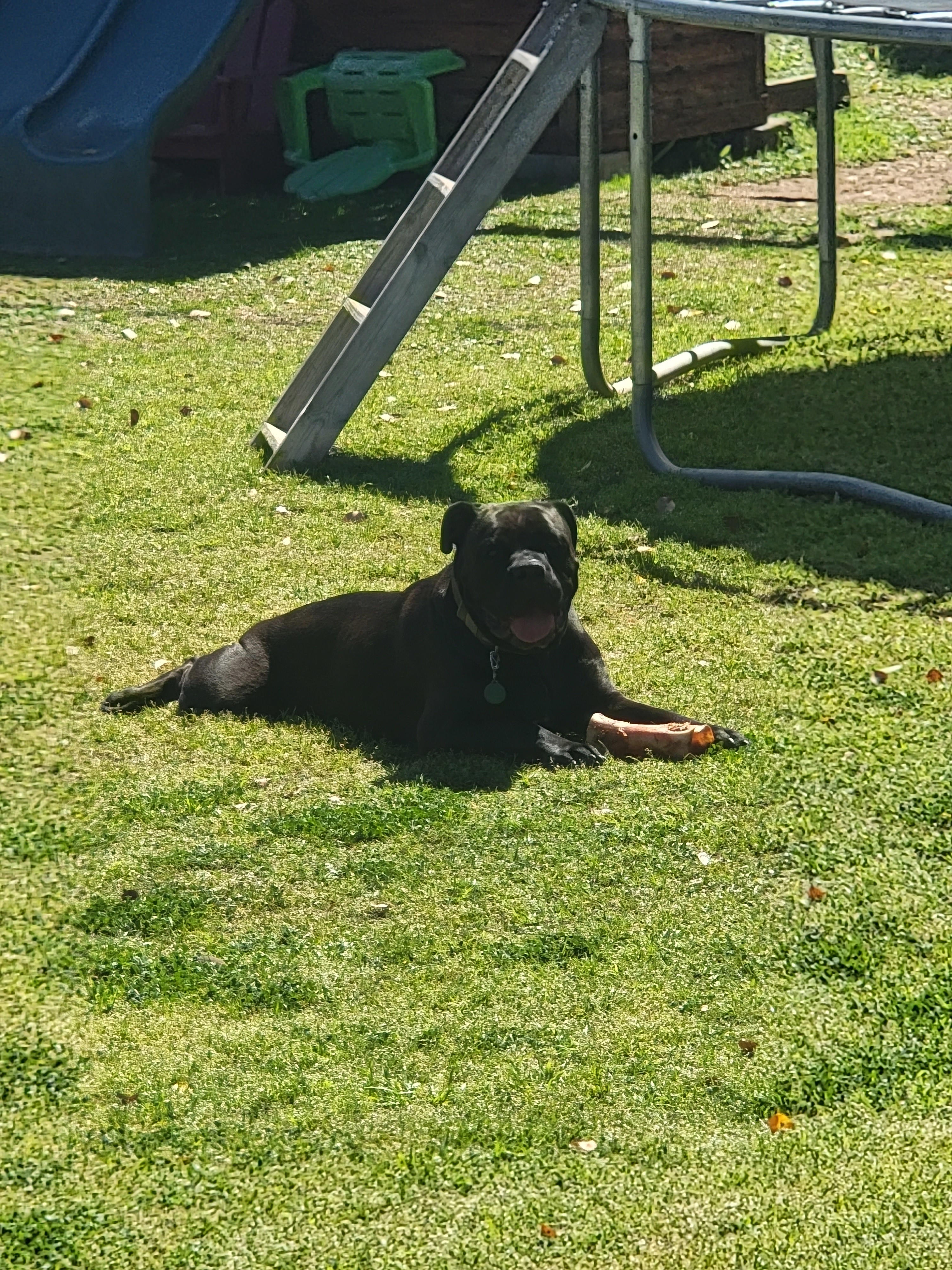 Historic Downtown Gilbert Get Away