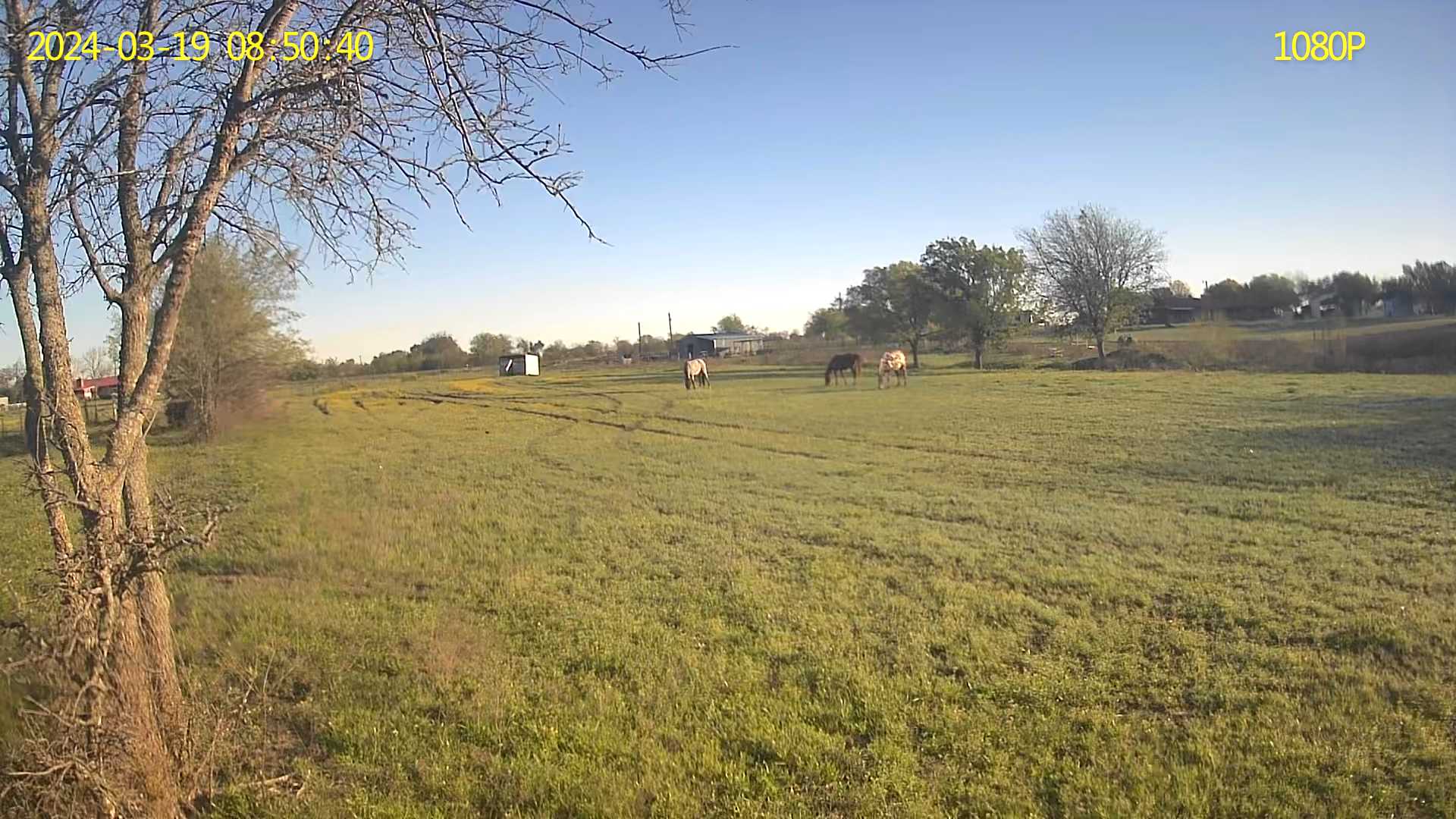 Lil'Bit Ranch