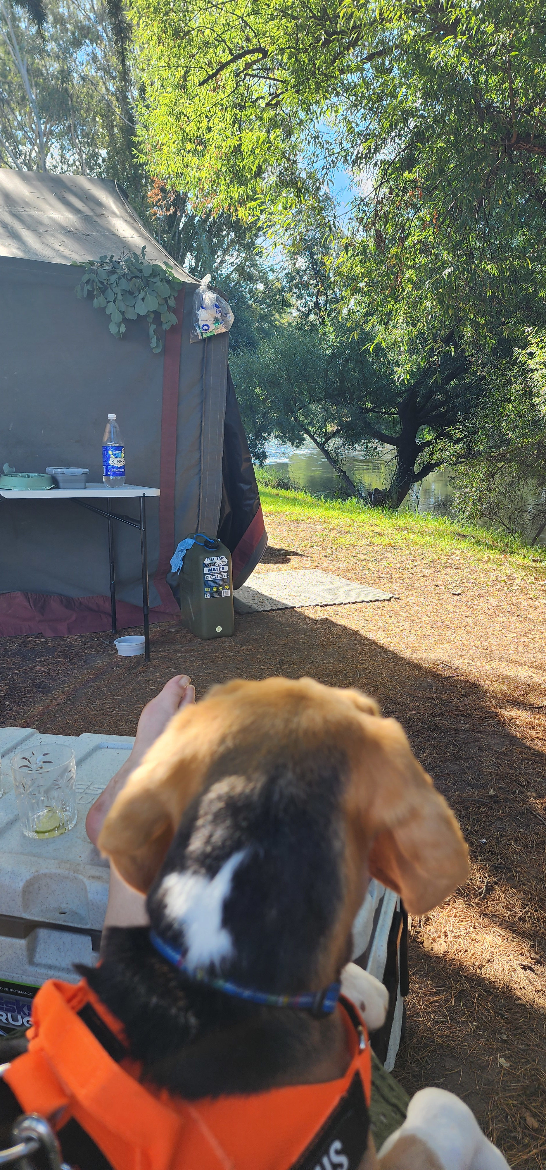 Chilling by the river