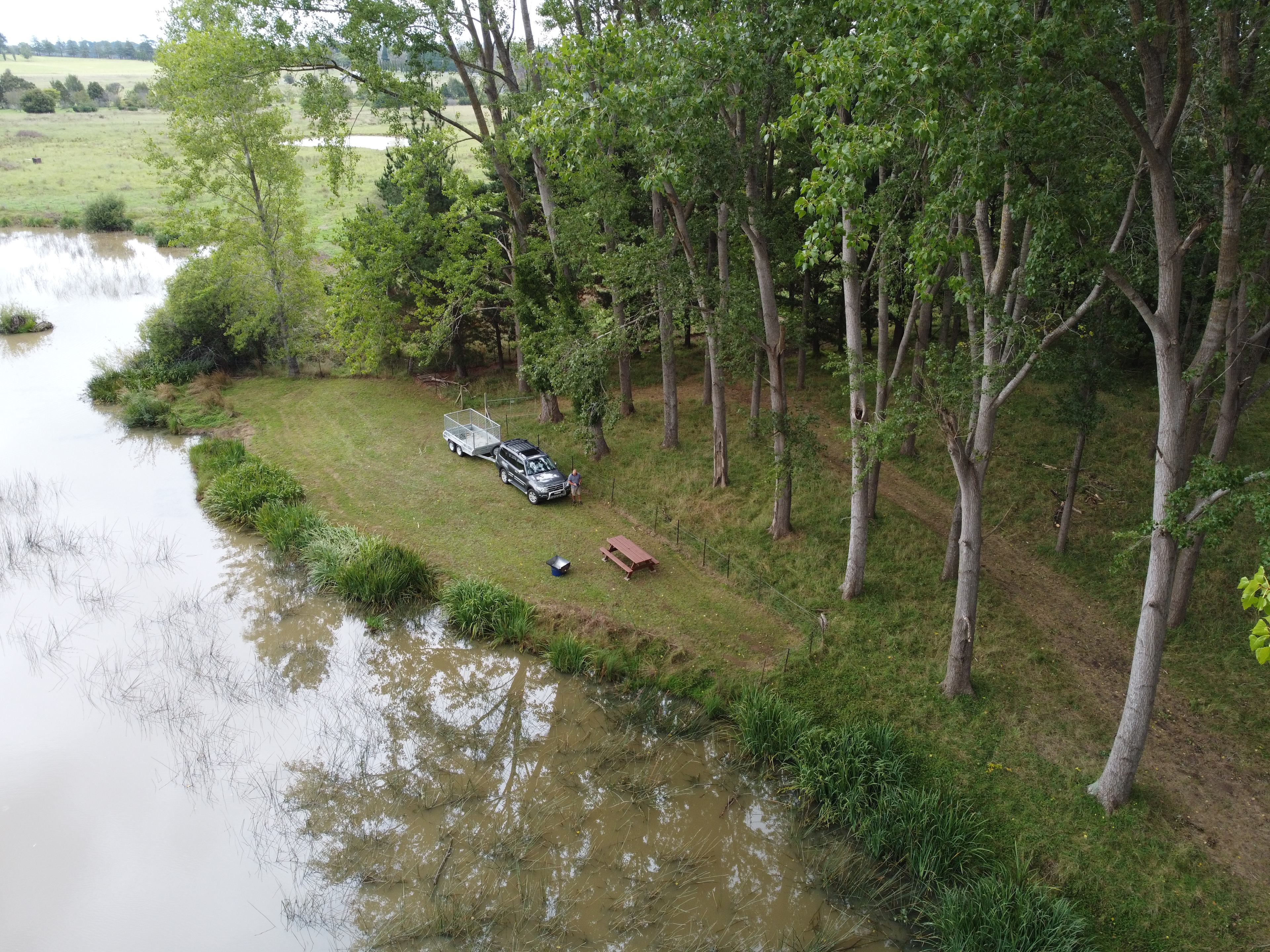 Wings of the Carribee