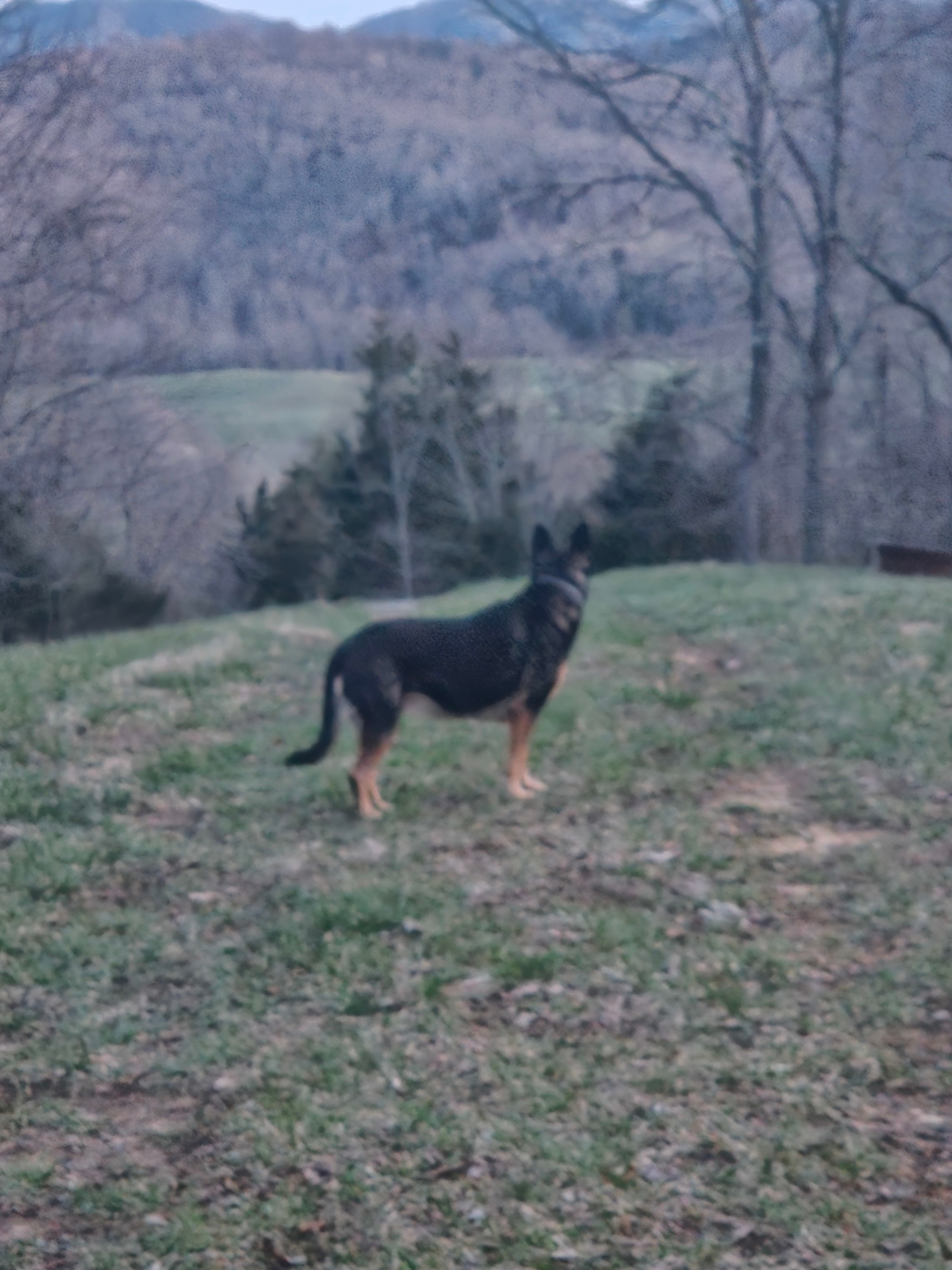 Channels Park Edge Campsites