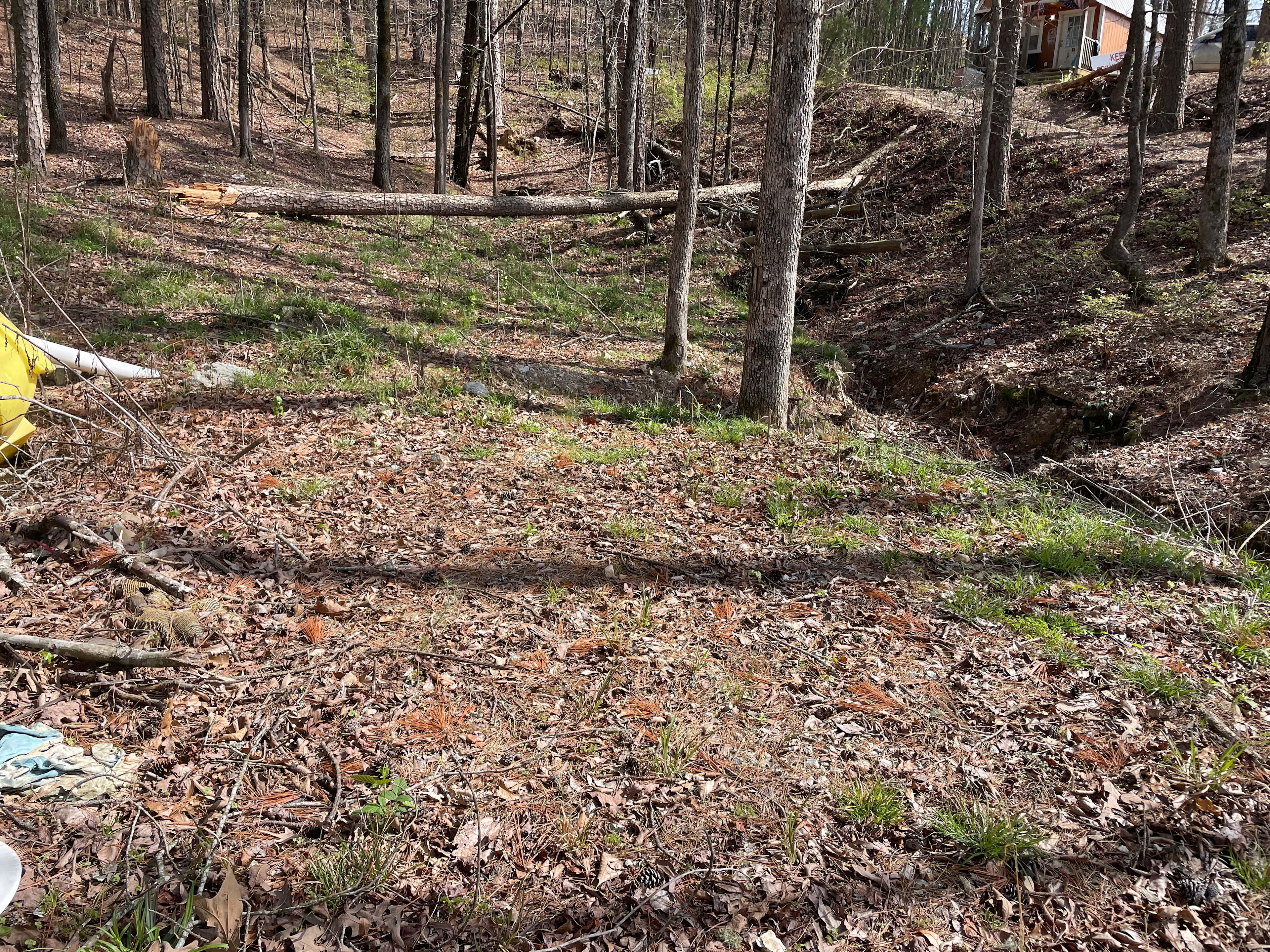 campsite area