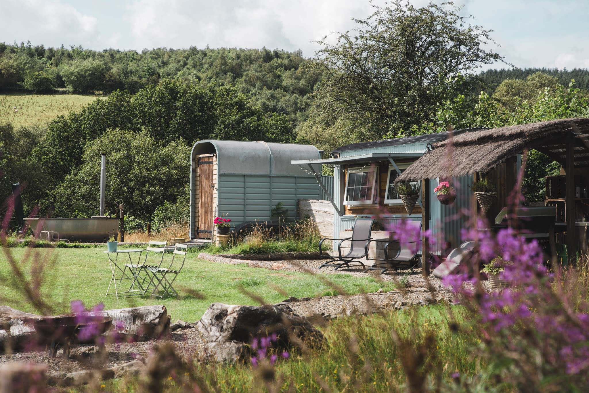 Belan Bluebell Woods