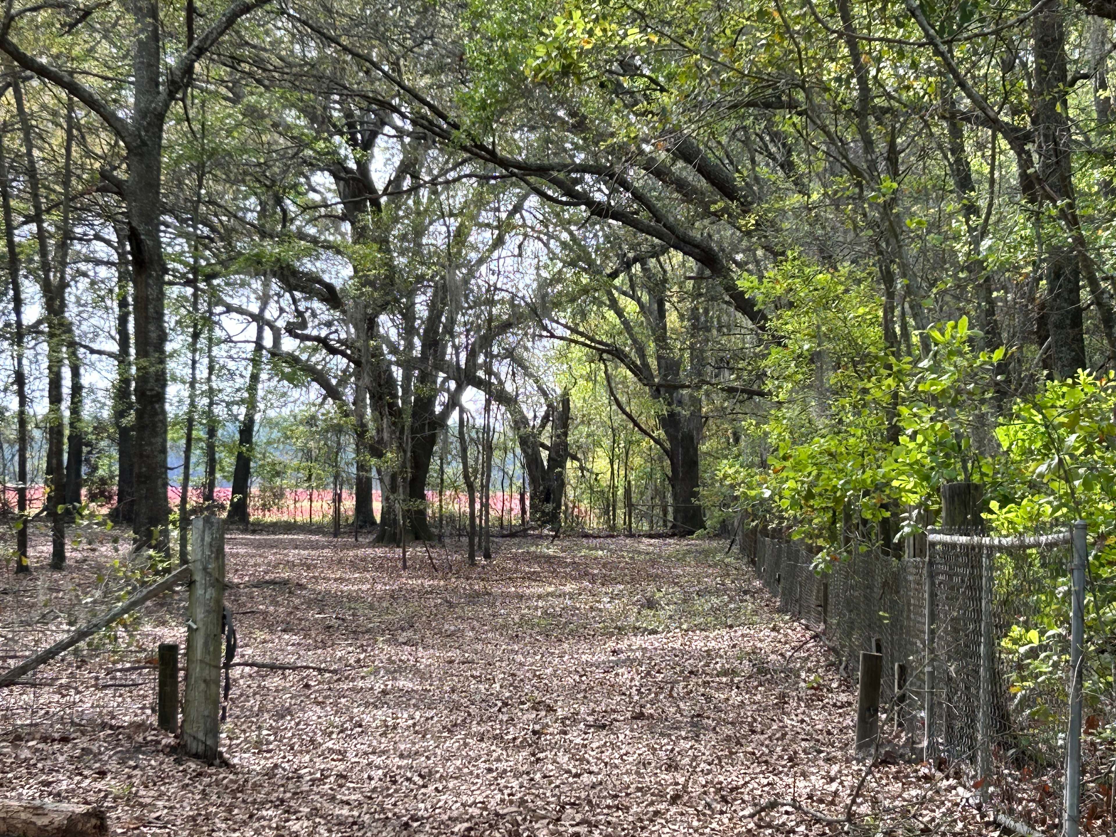 Bluewater Horse Ranch