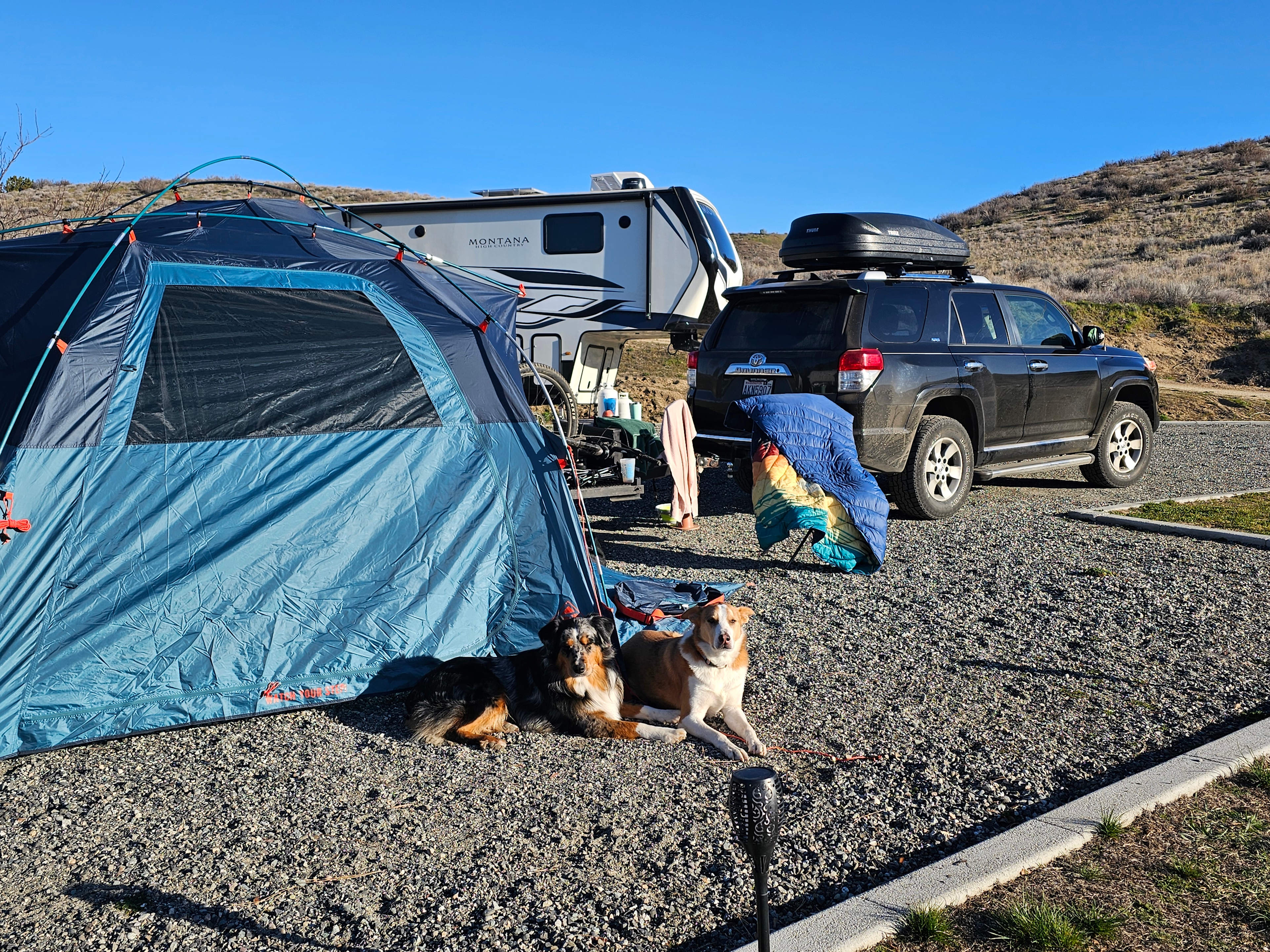 Bianchi Vineyards RV Site