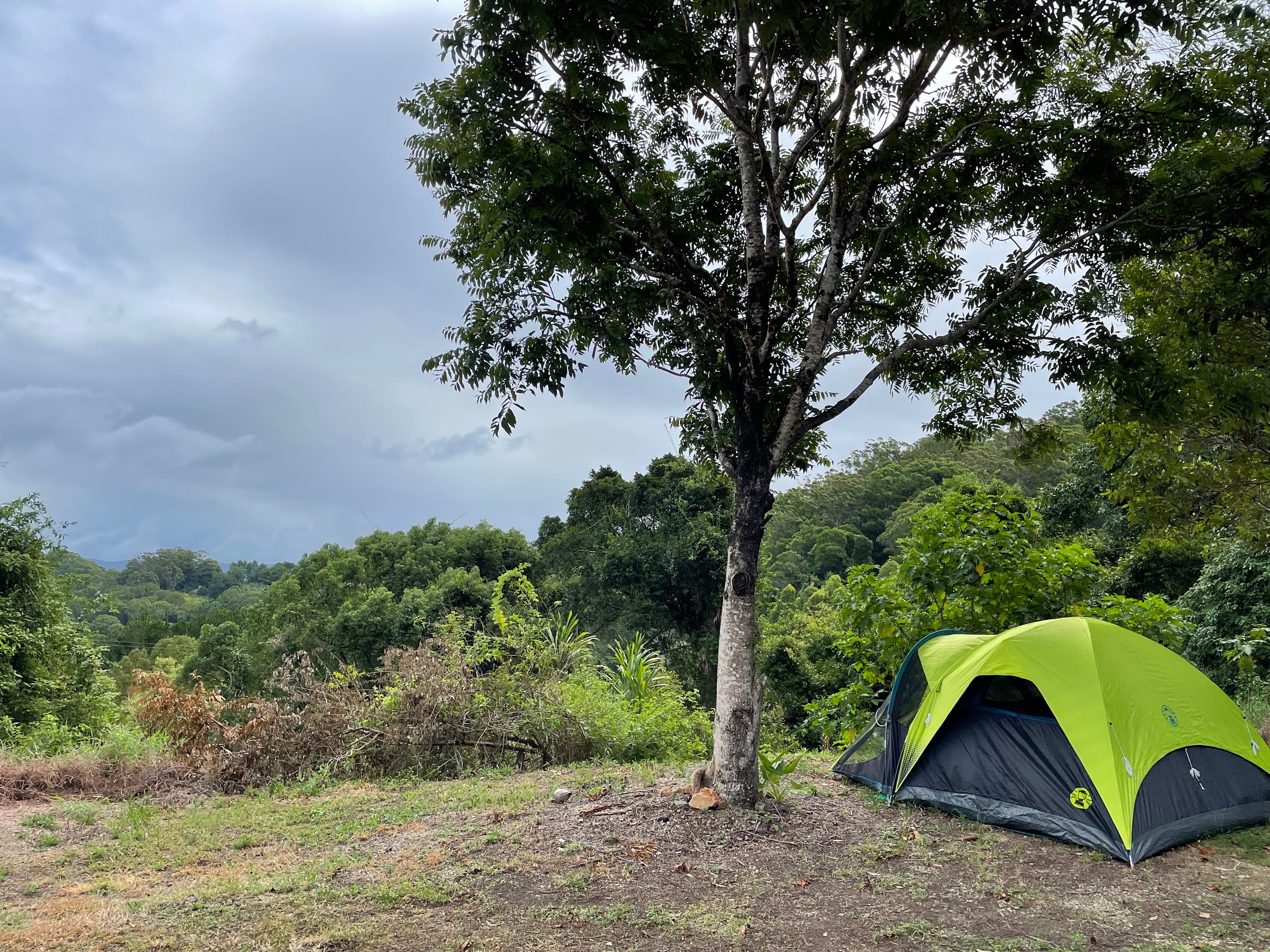 Gold Coast Hinterland Escape