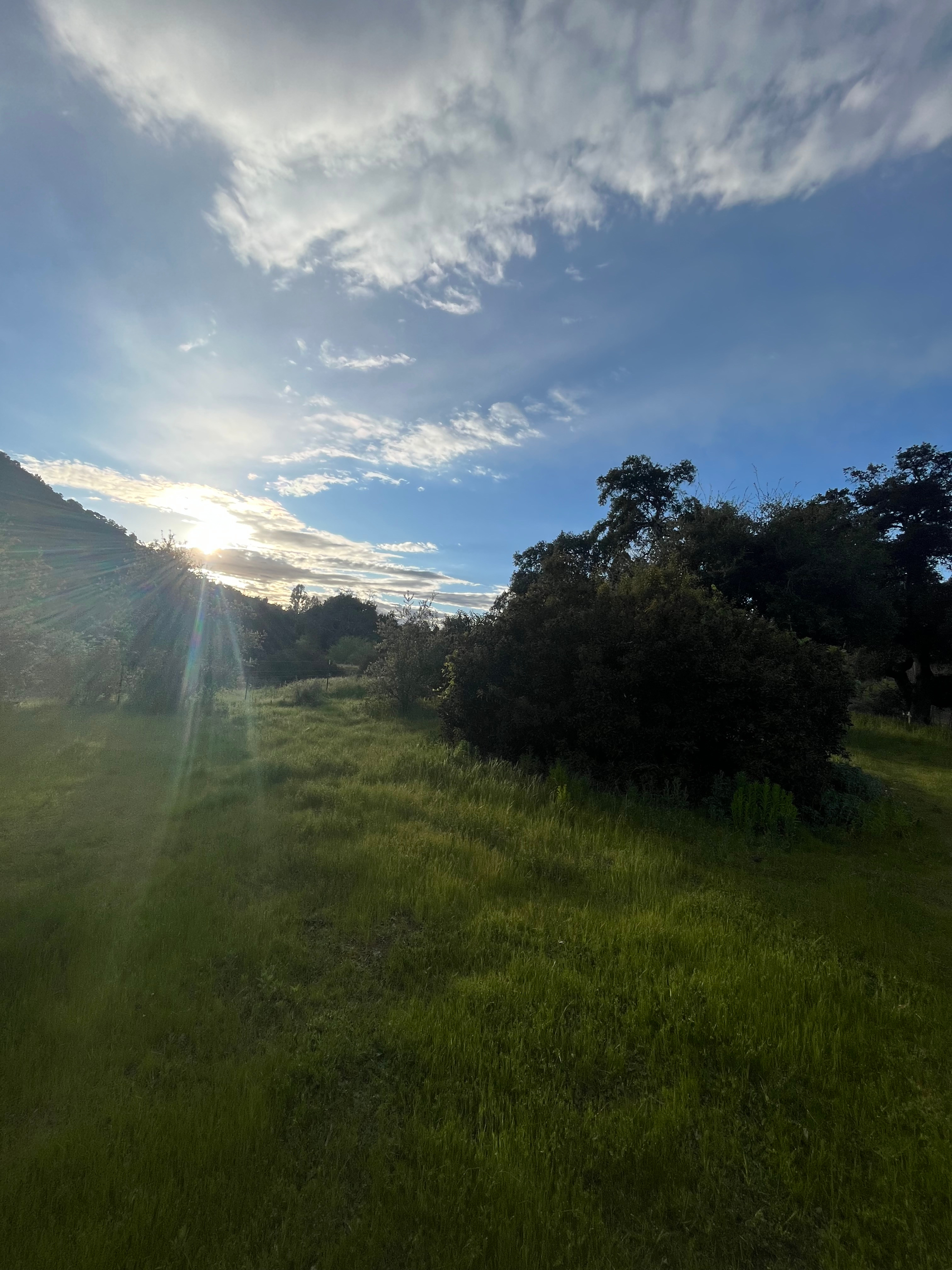 Camp RainDale