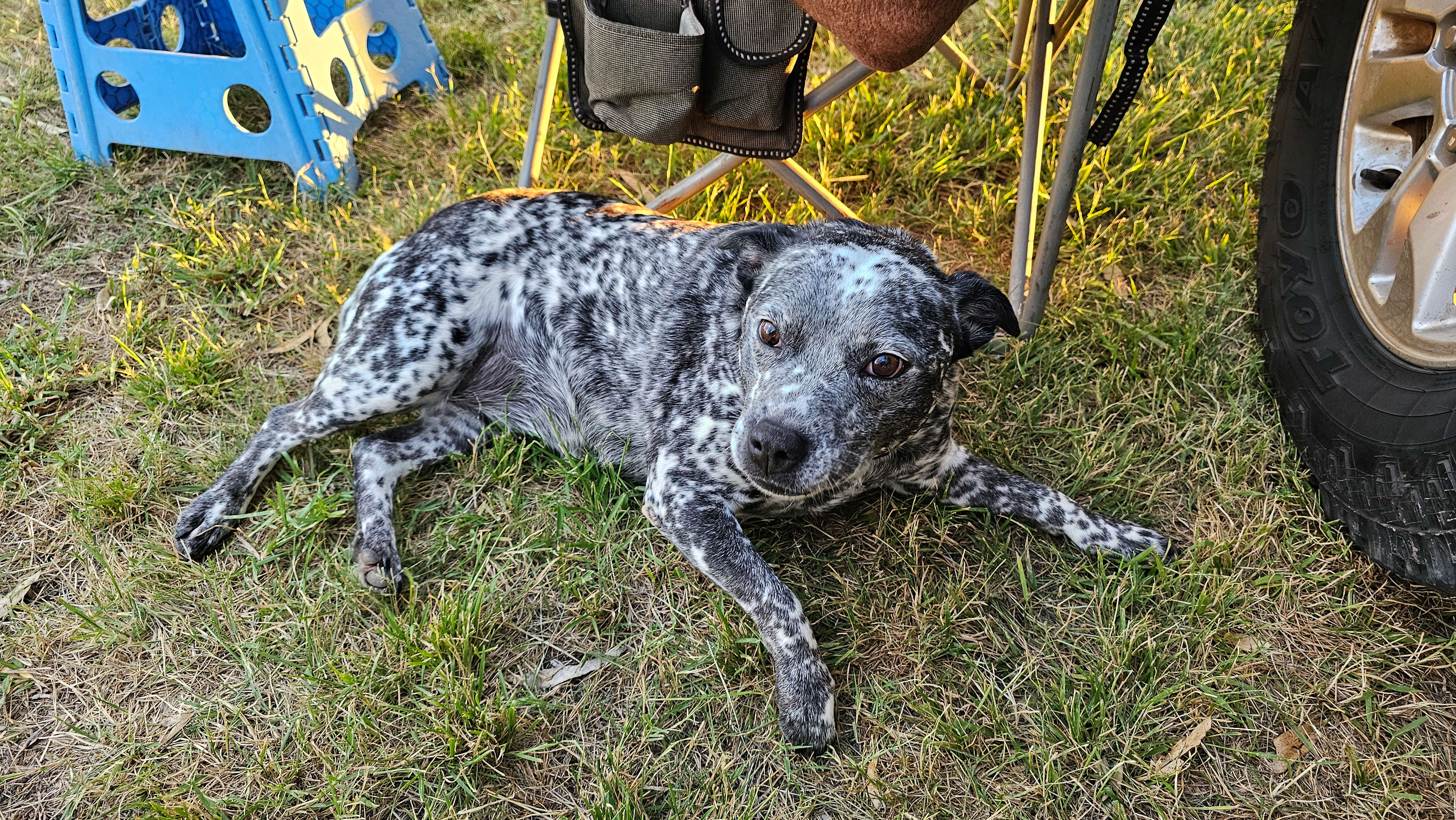 Riverside Farm Retreat