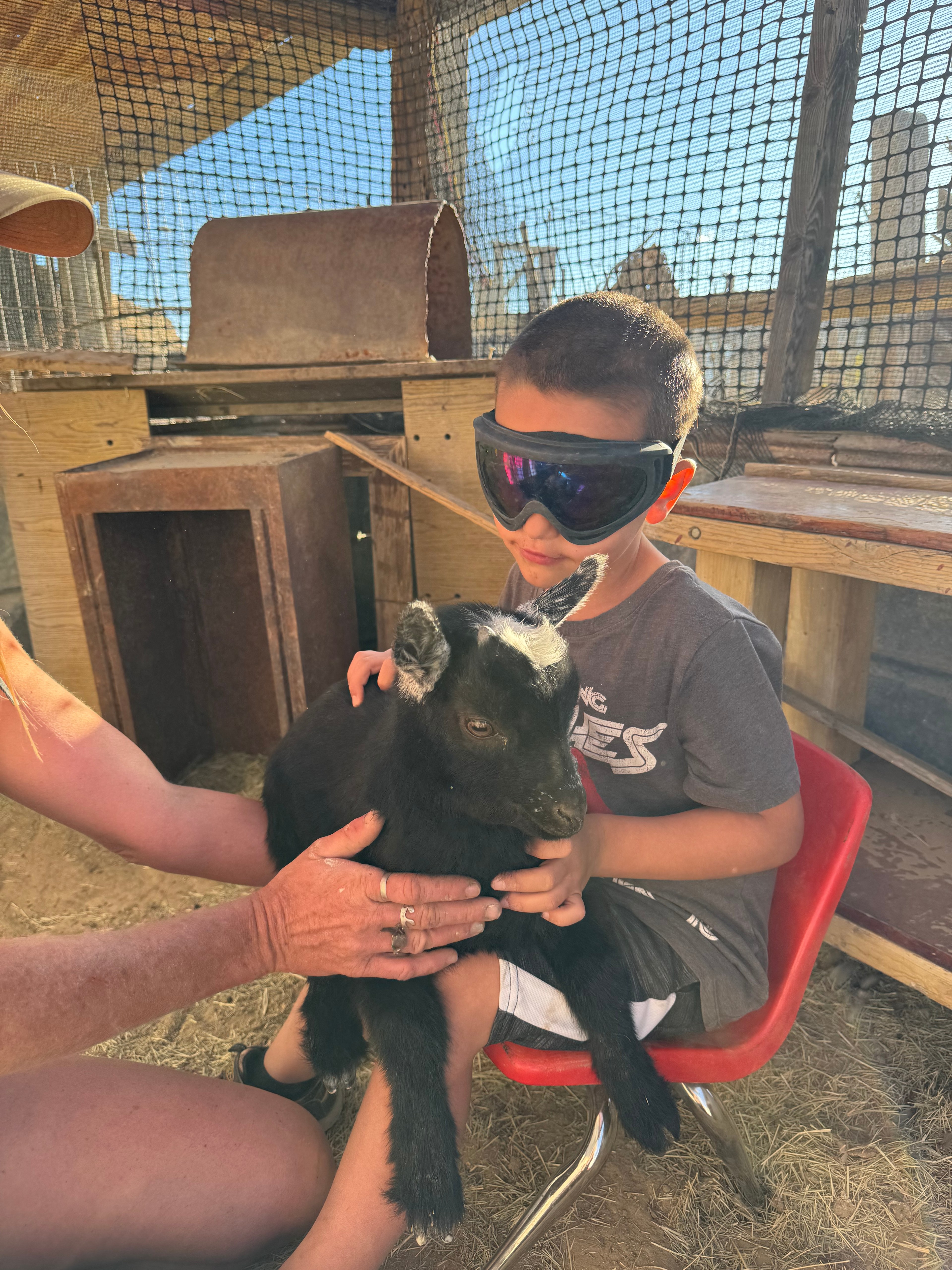 Goat Pens, Cigar Springs Ranch