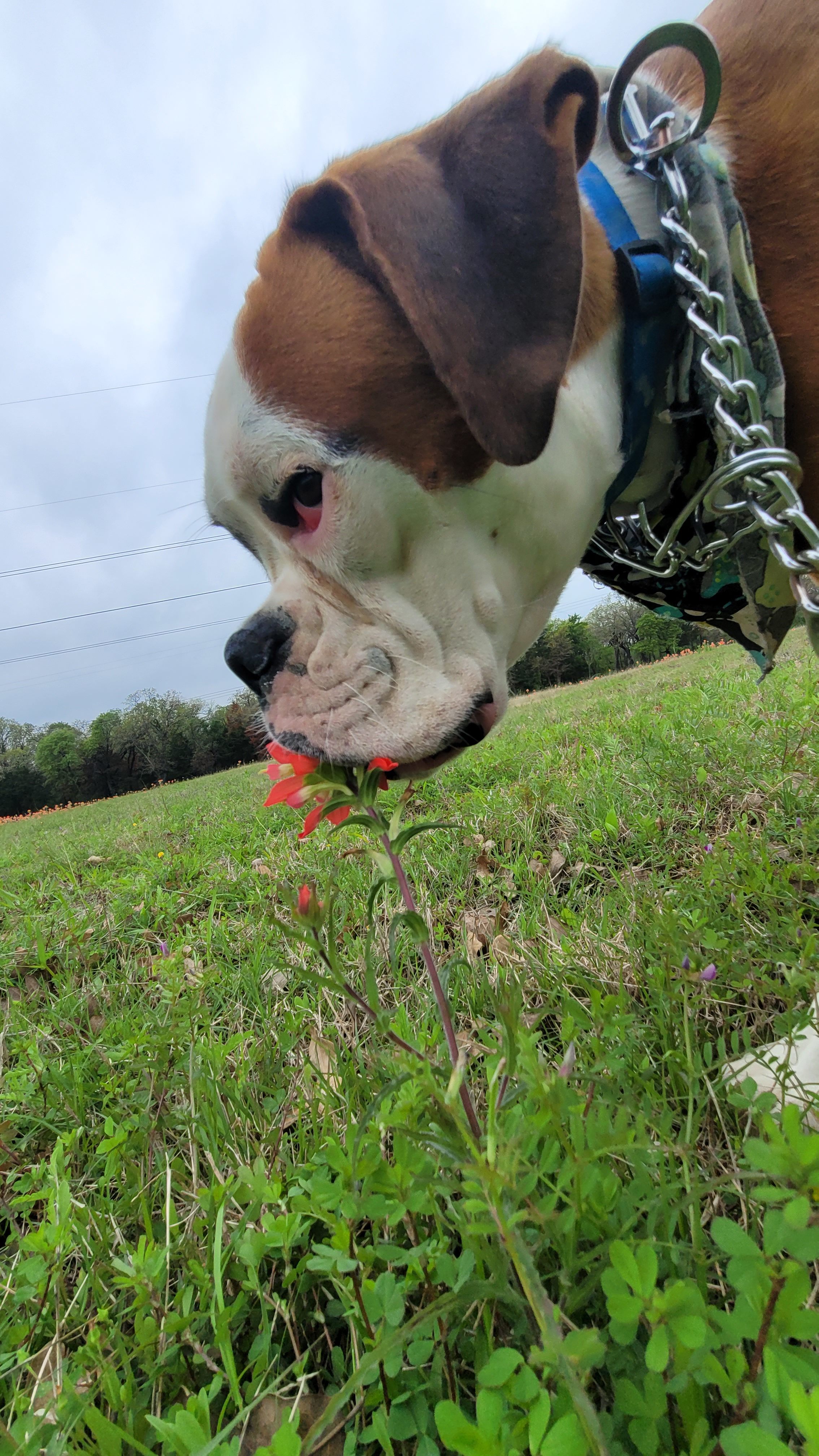 Waco Creekside Resort