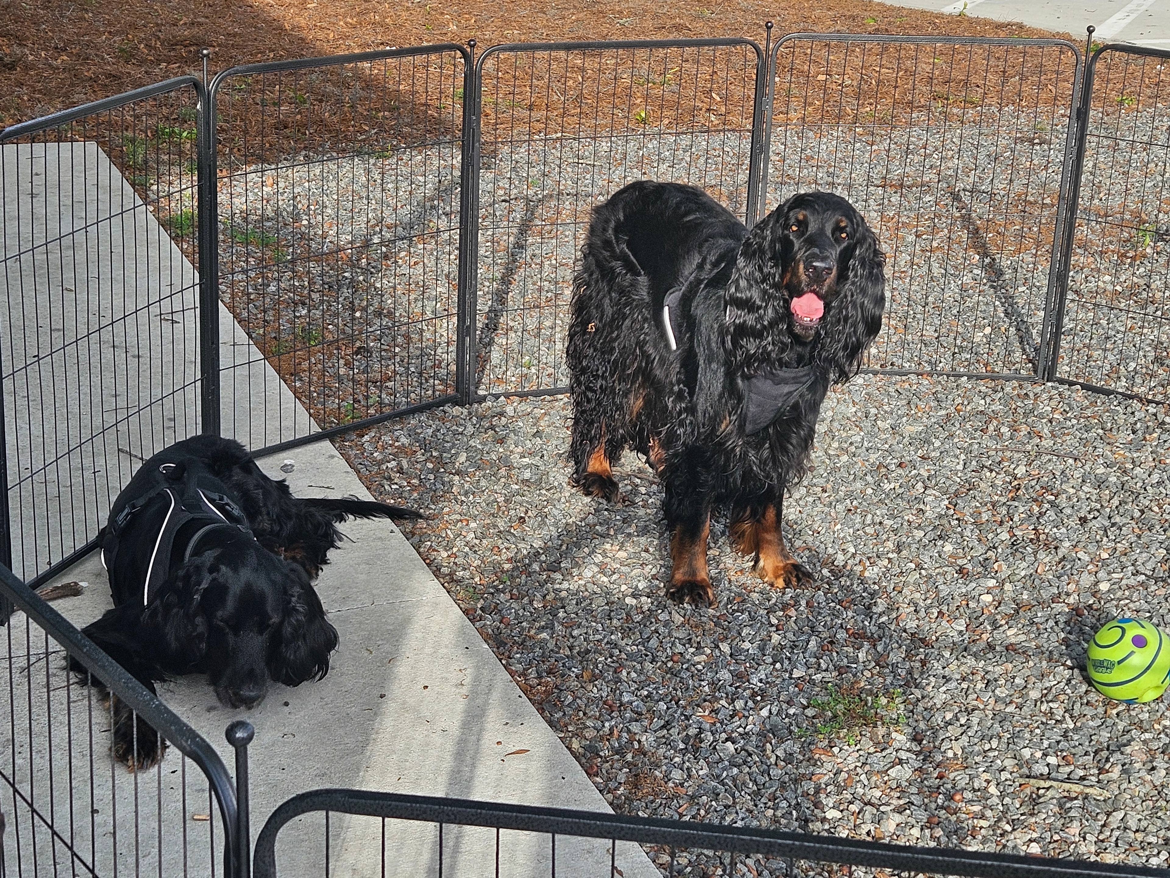 Conductor's Corner Campsites