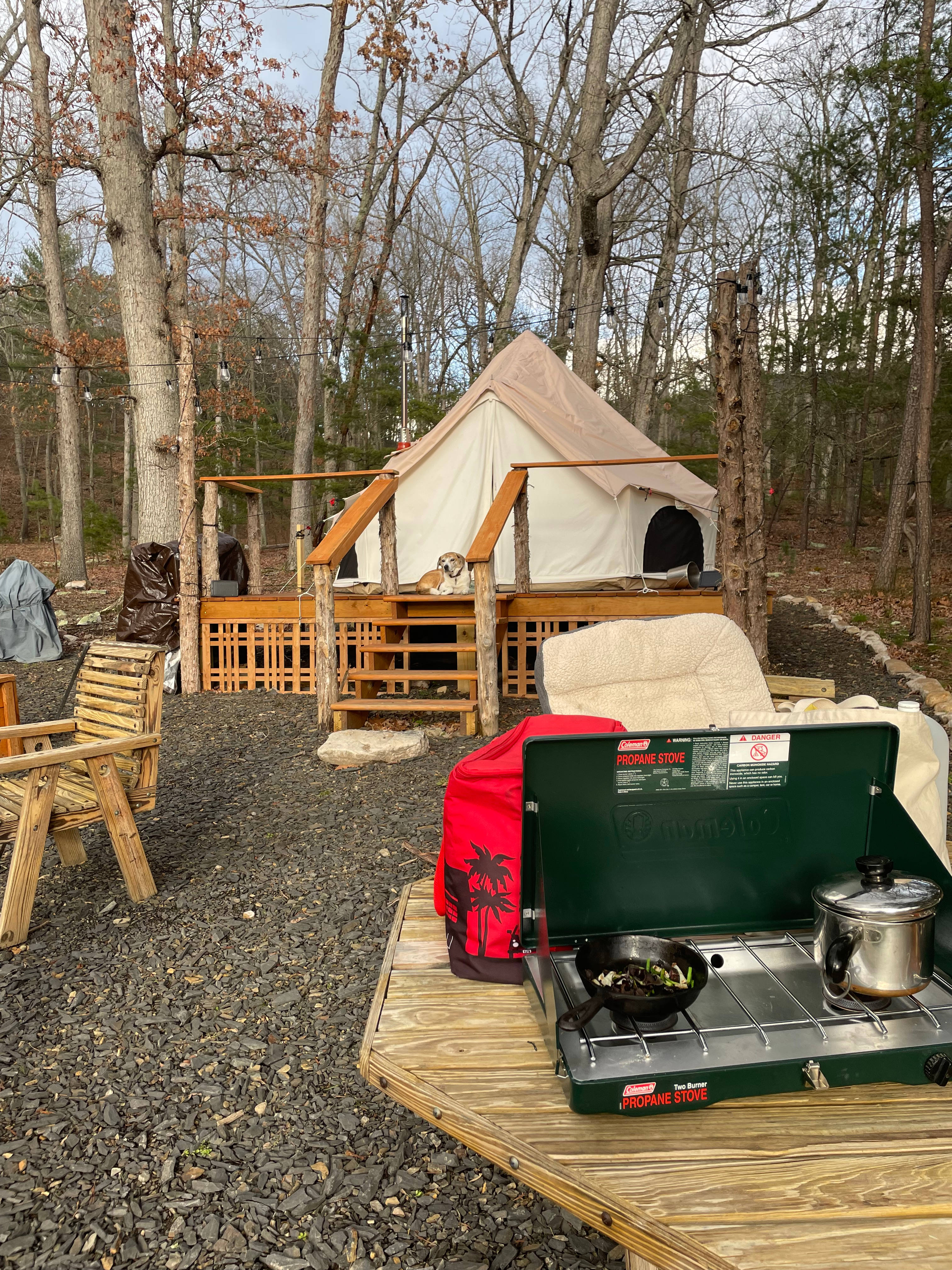 Warming up some rice porridge and freshly foraged wood ear mushrooms from a hike earlier that day on a camp stove provided by hosts.  