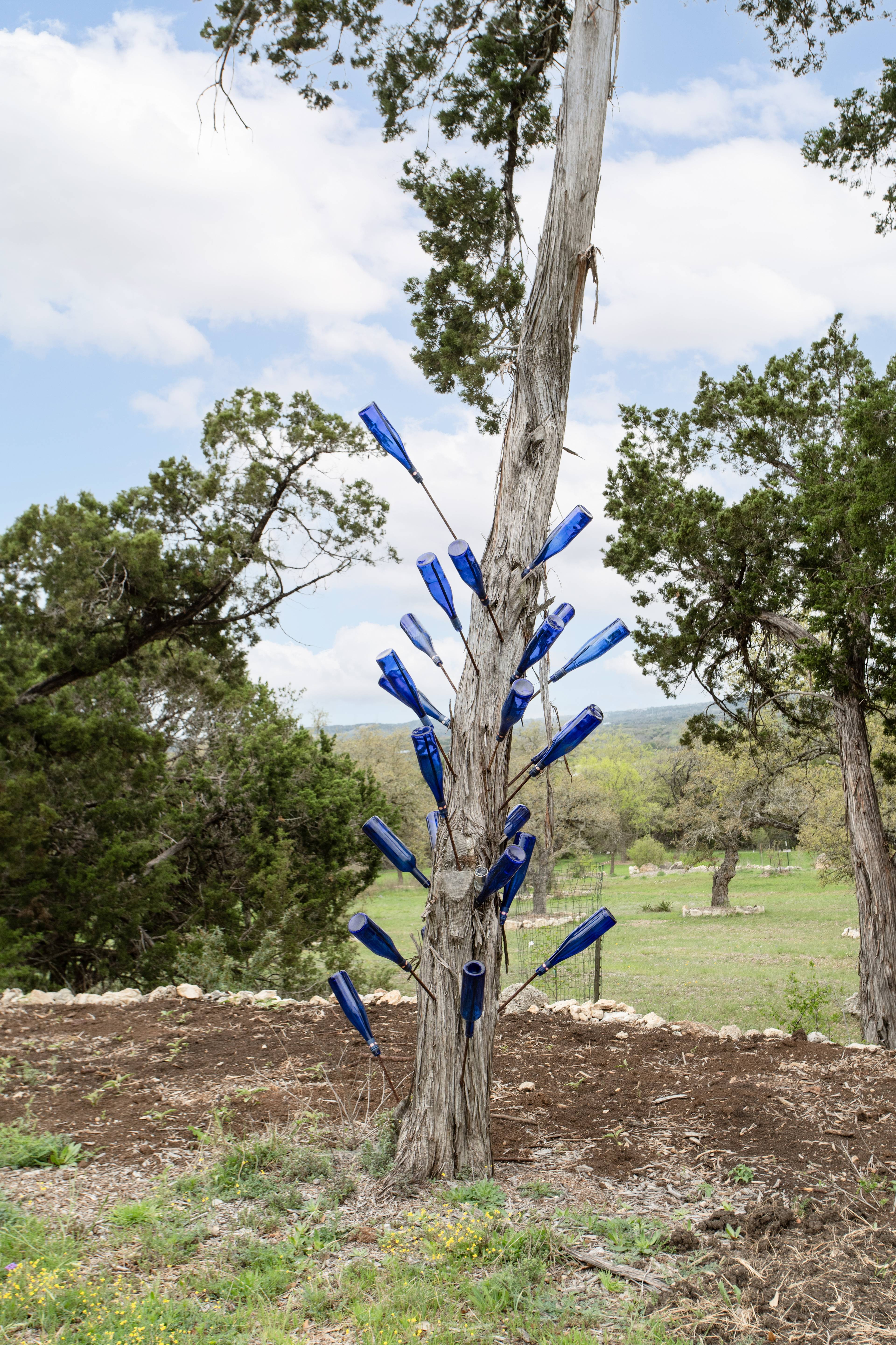 Native Bee Haven