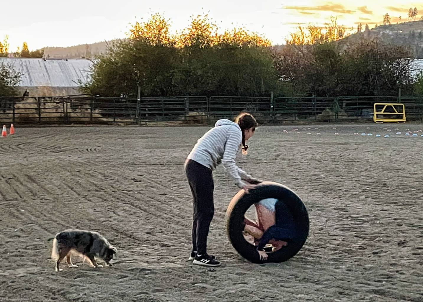 B-T-B Horse Boarding &  Hotel