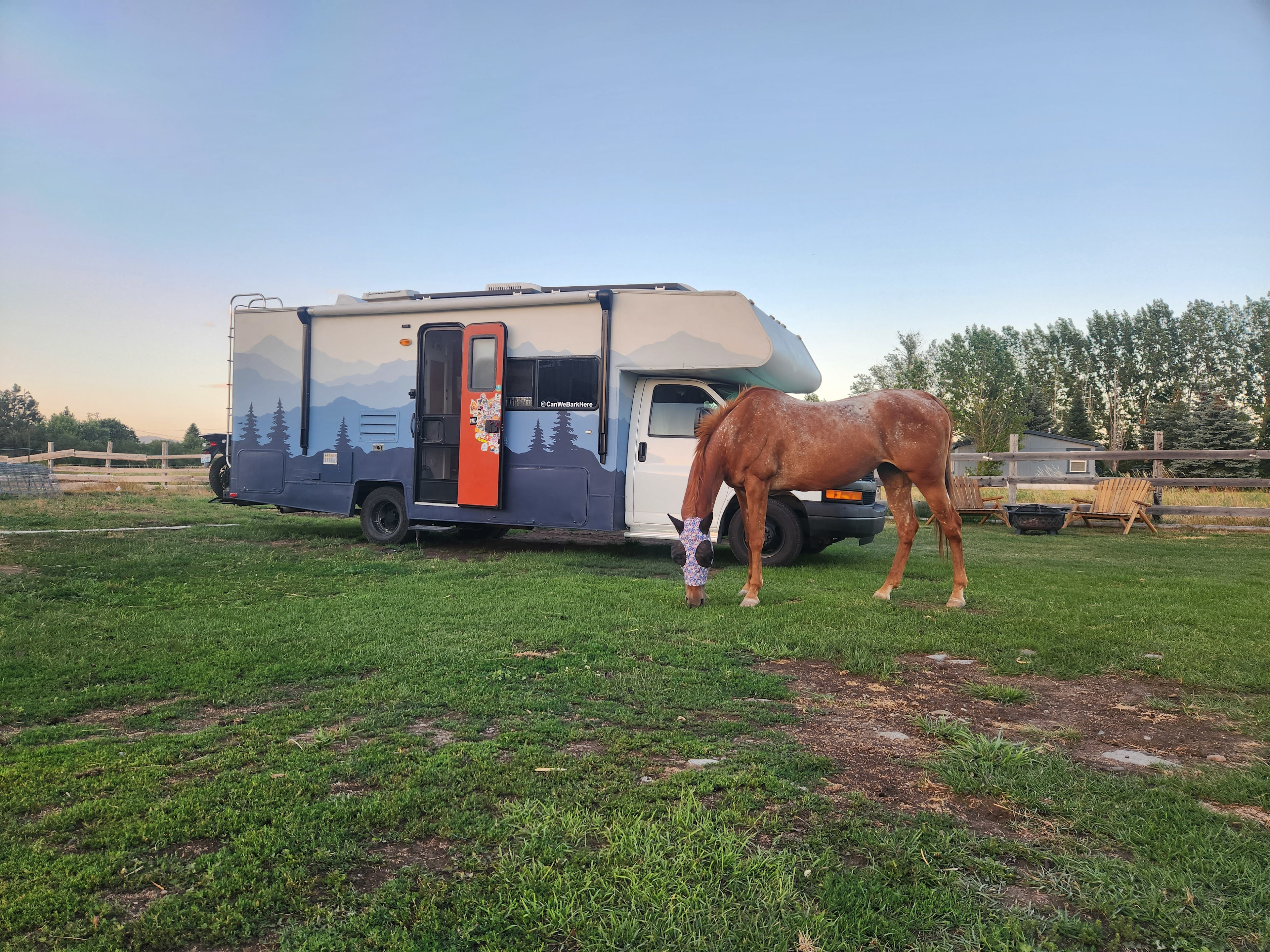 B-T-B Horse Boarding &  Hotel