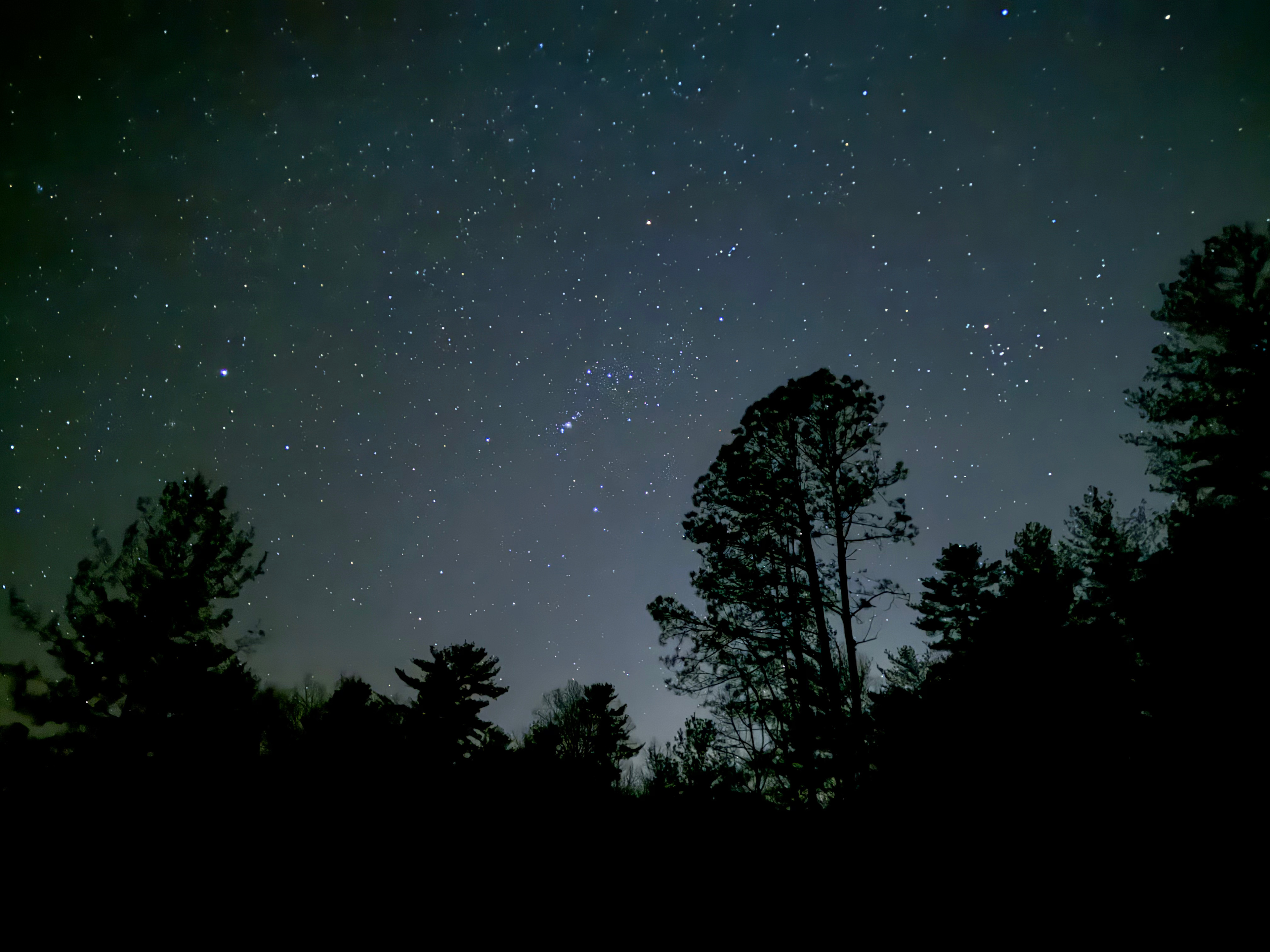 Bear Trail Ridge In Del Rio