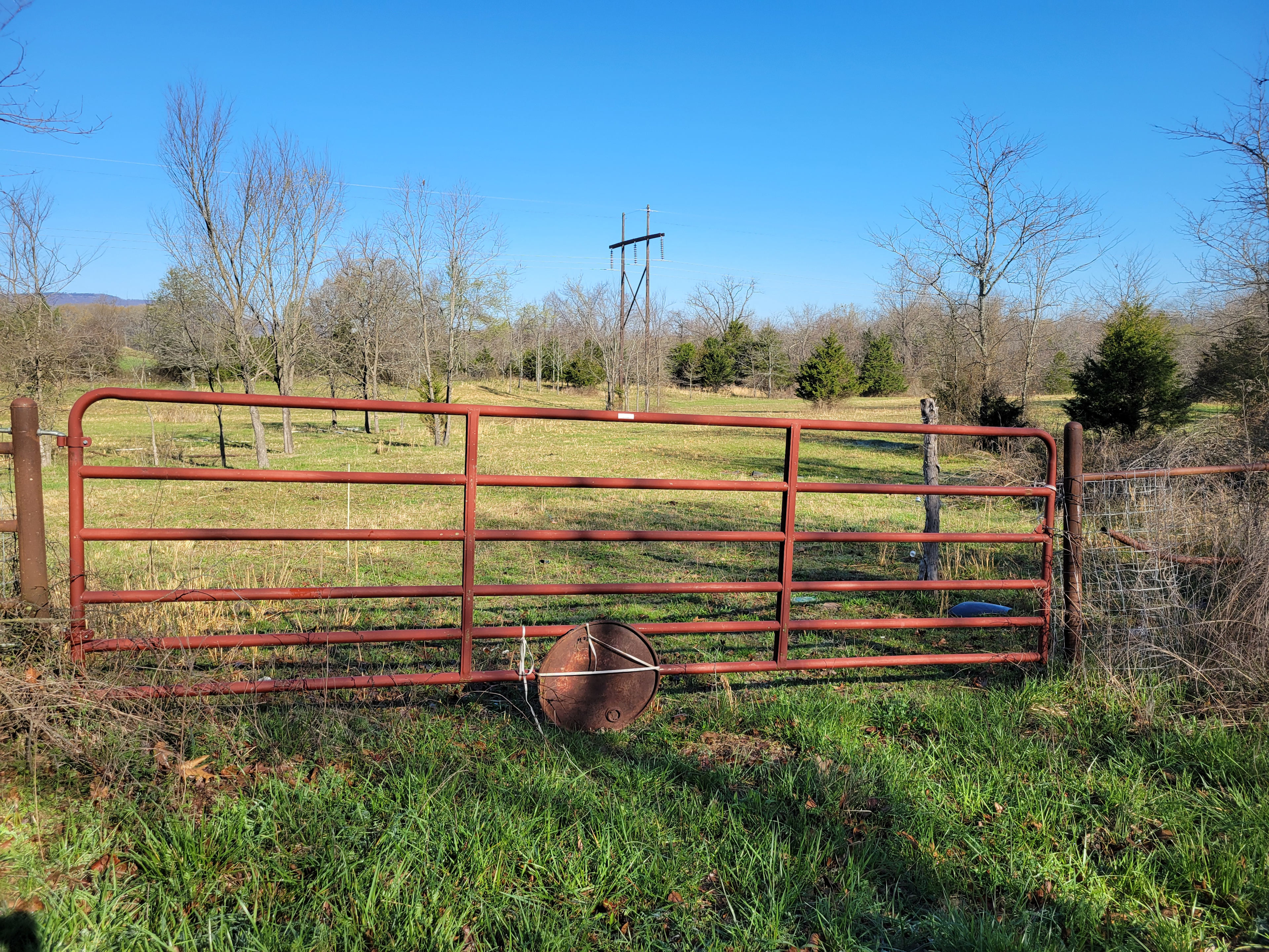 Ridiculous Ranch