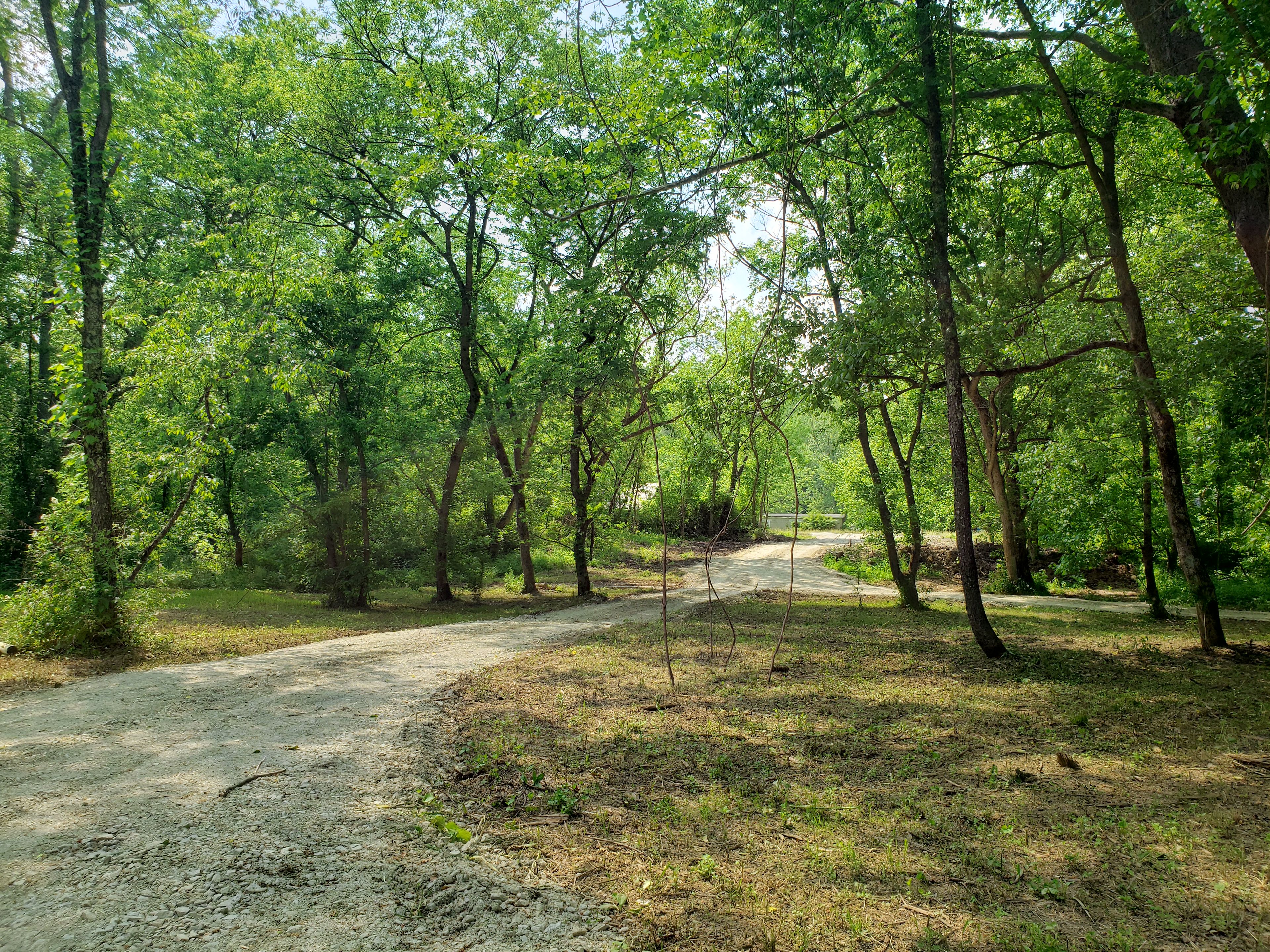 Sycamore Retreat
