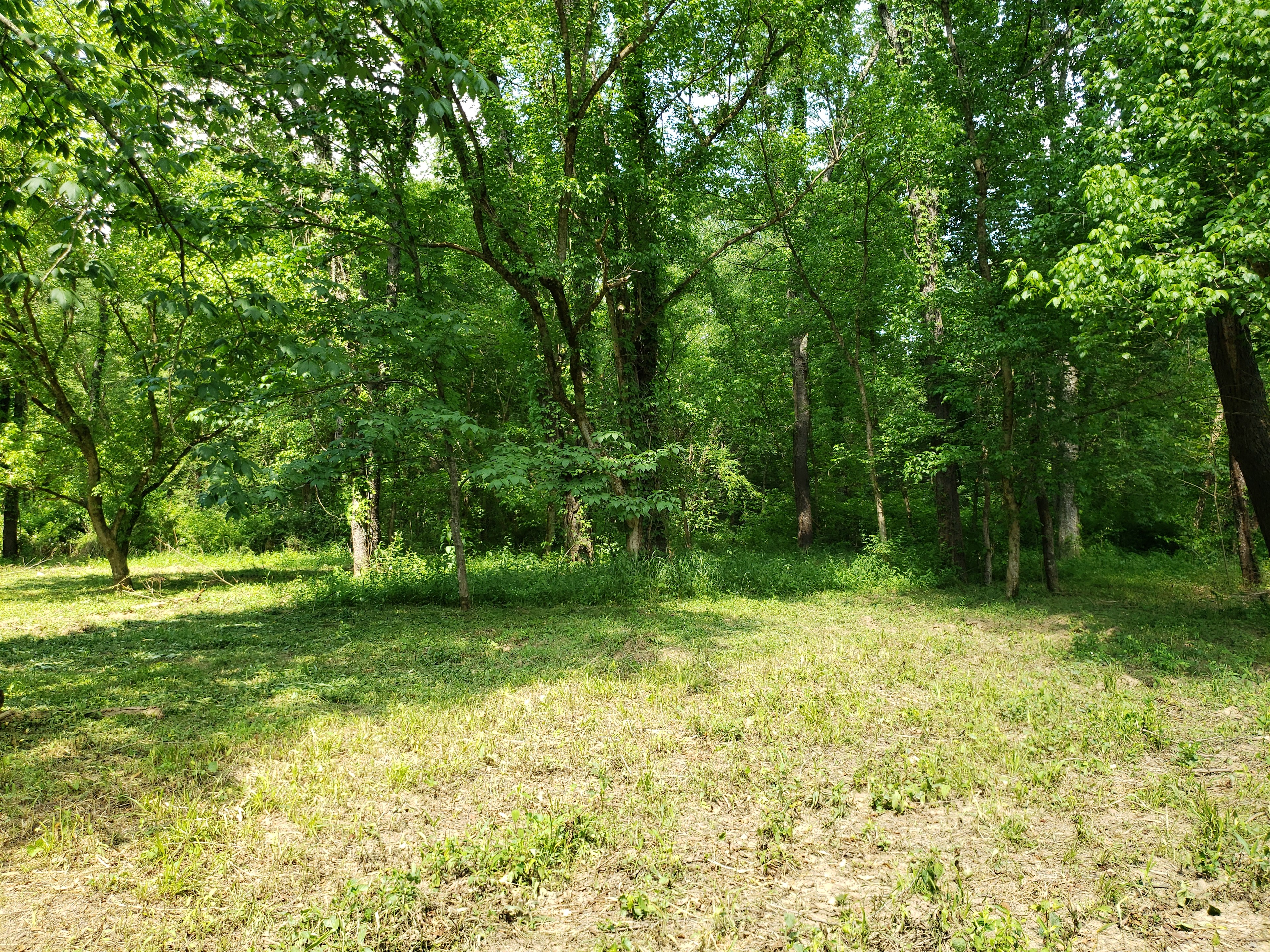 Sycamore Retreat