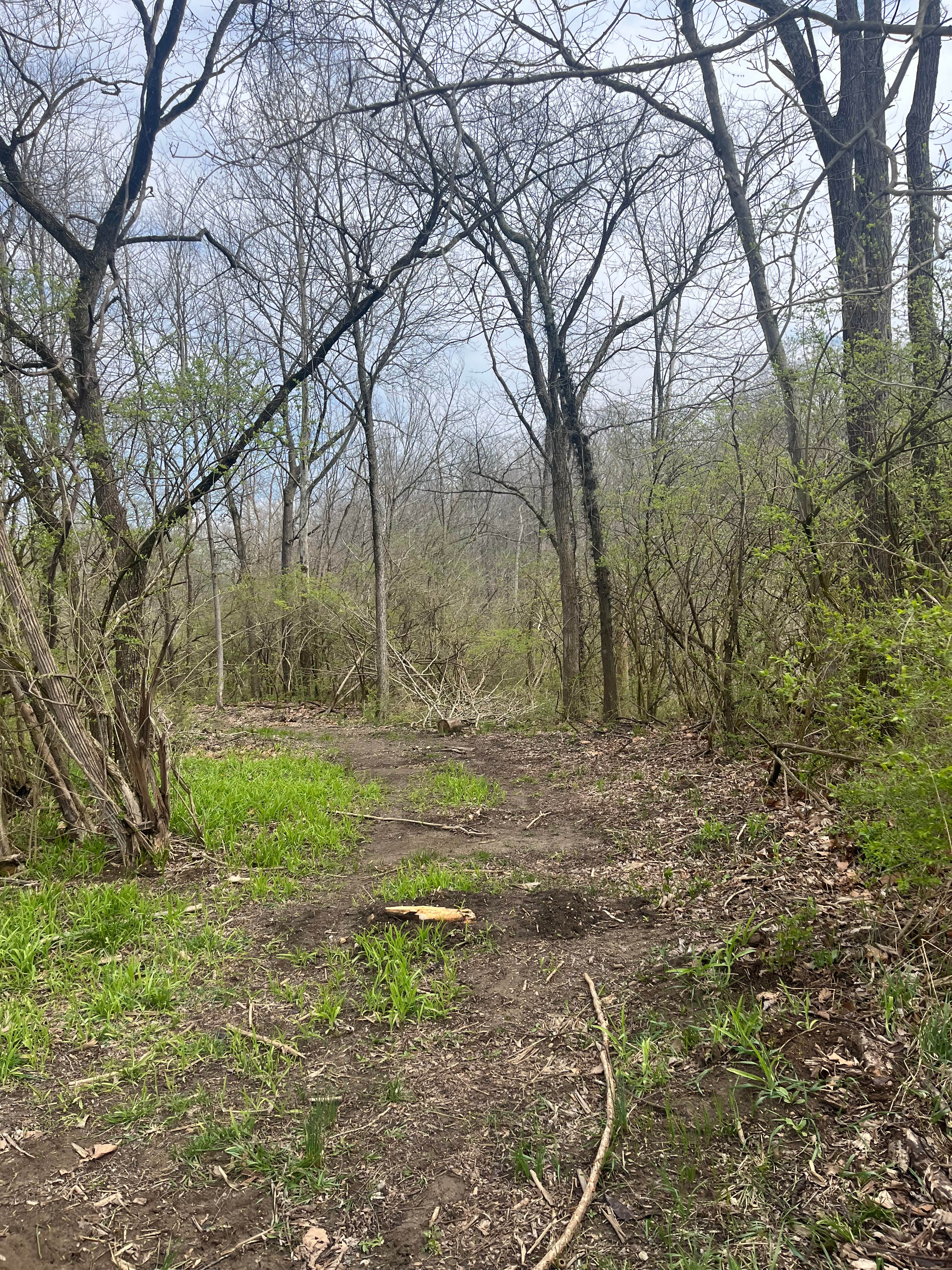 Quiet Creek Valley
