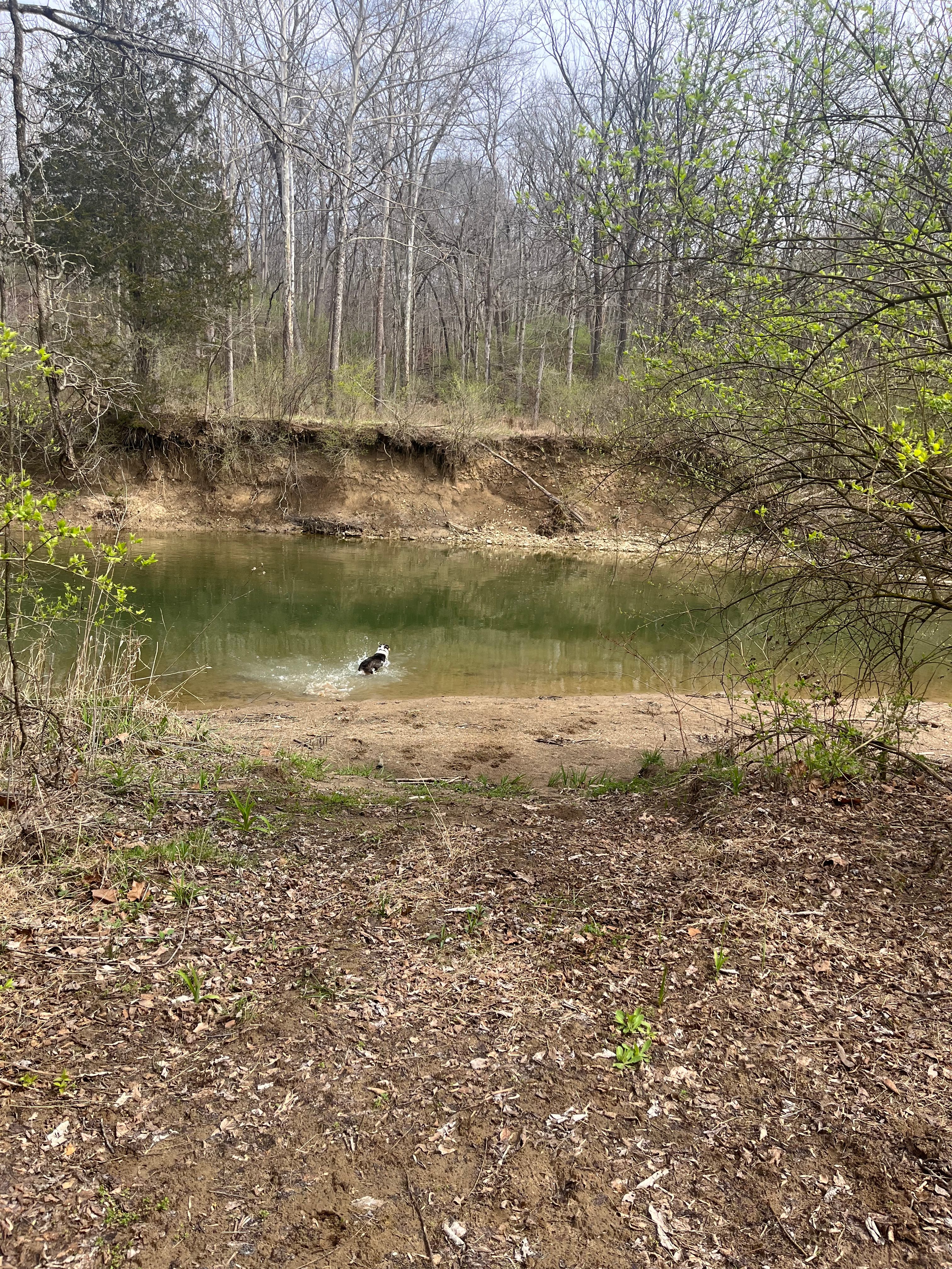 Quiet Creek Valley