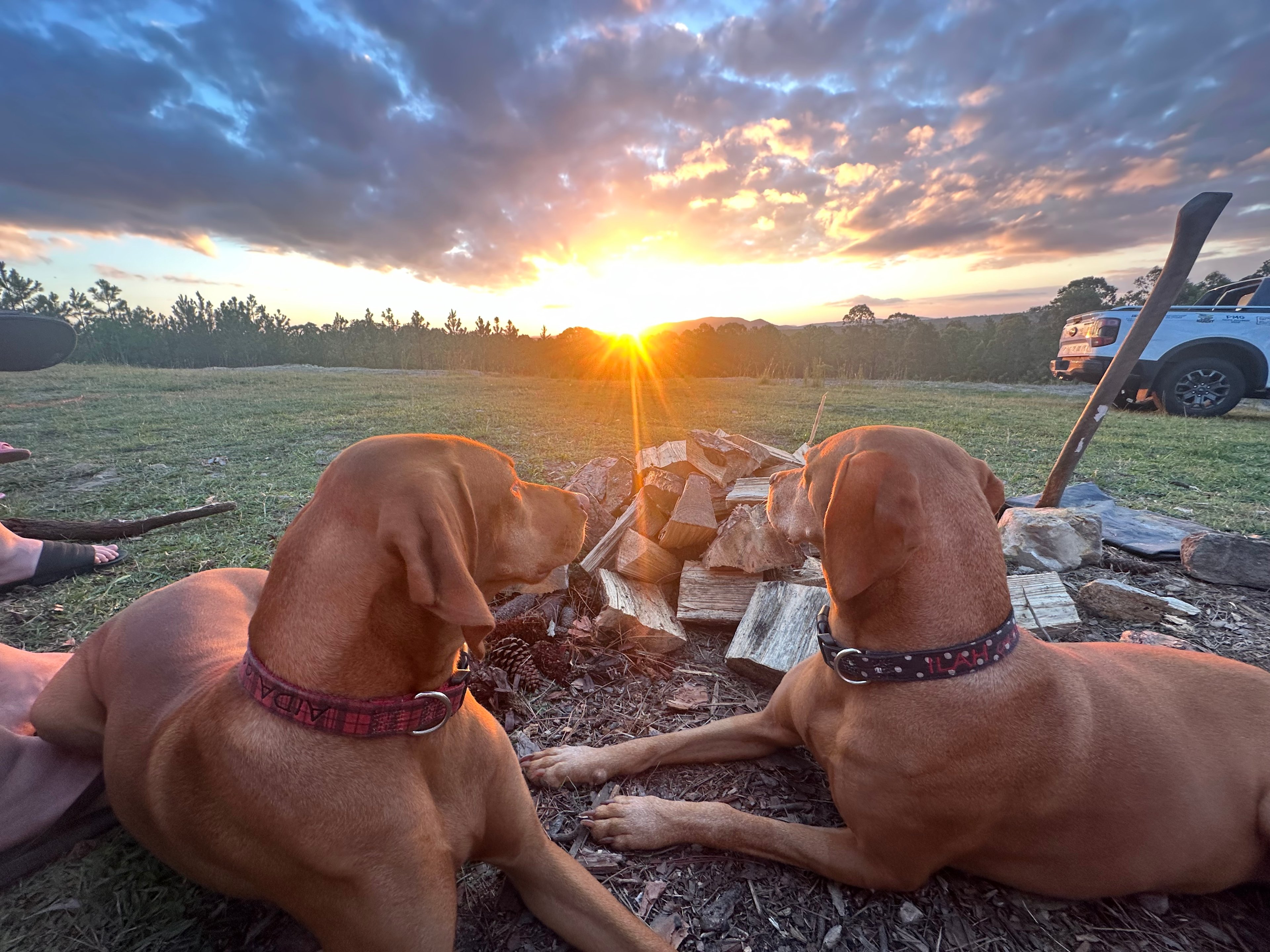 Fame Mountain Camp - pets welcome