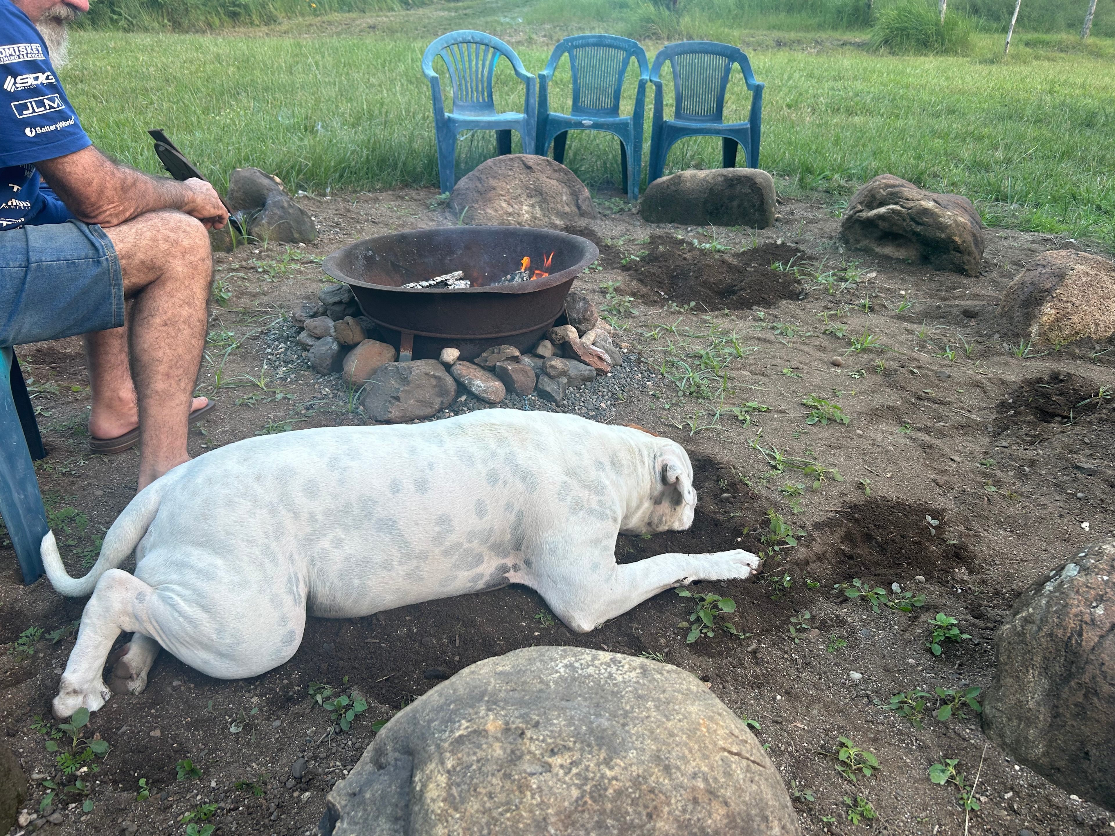 Figtree Farm at Findon Creek