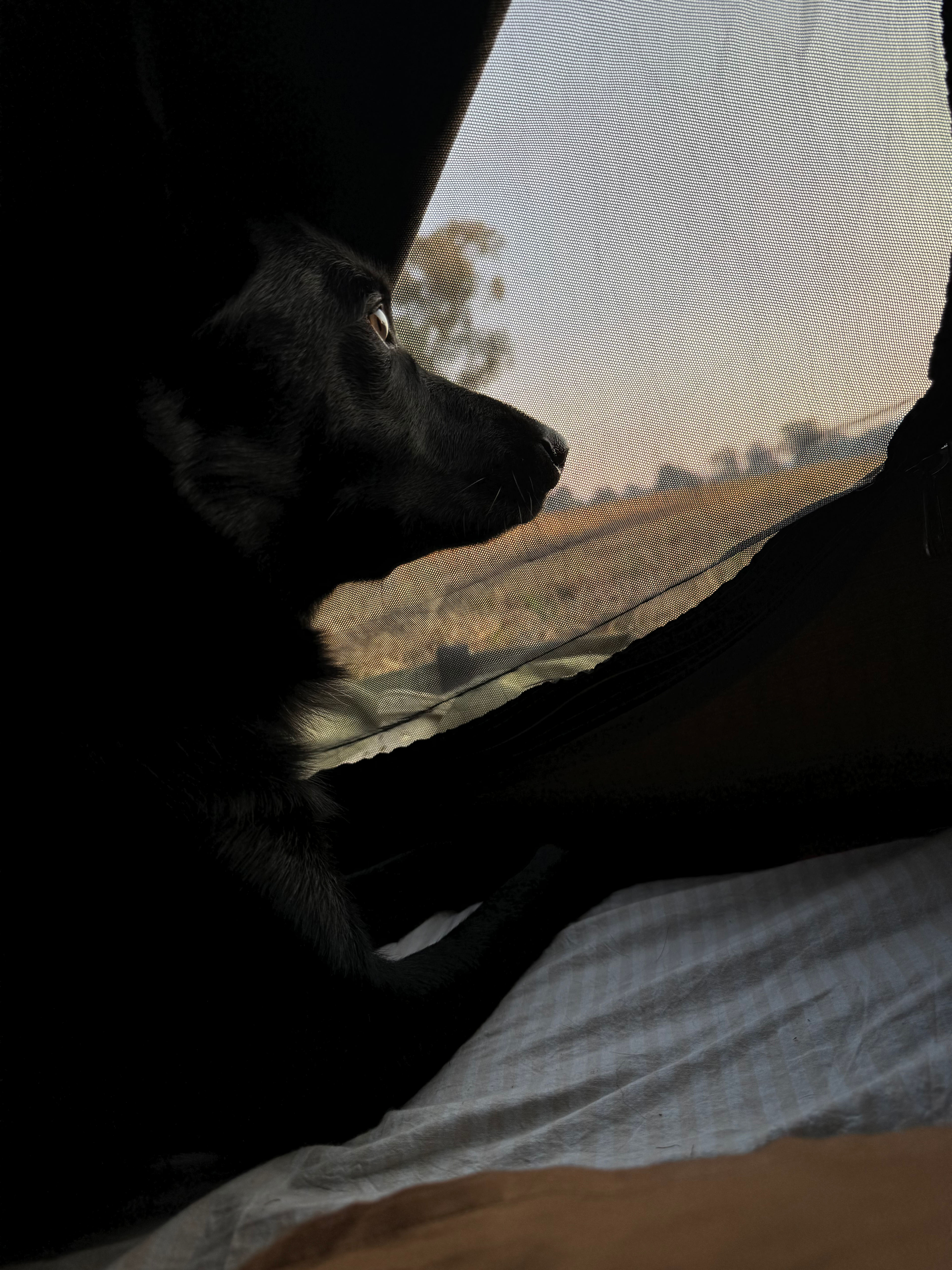 Thowgla Hall and Recreation Reserve