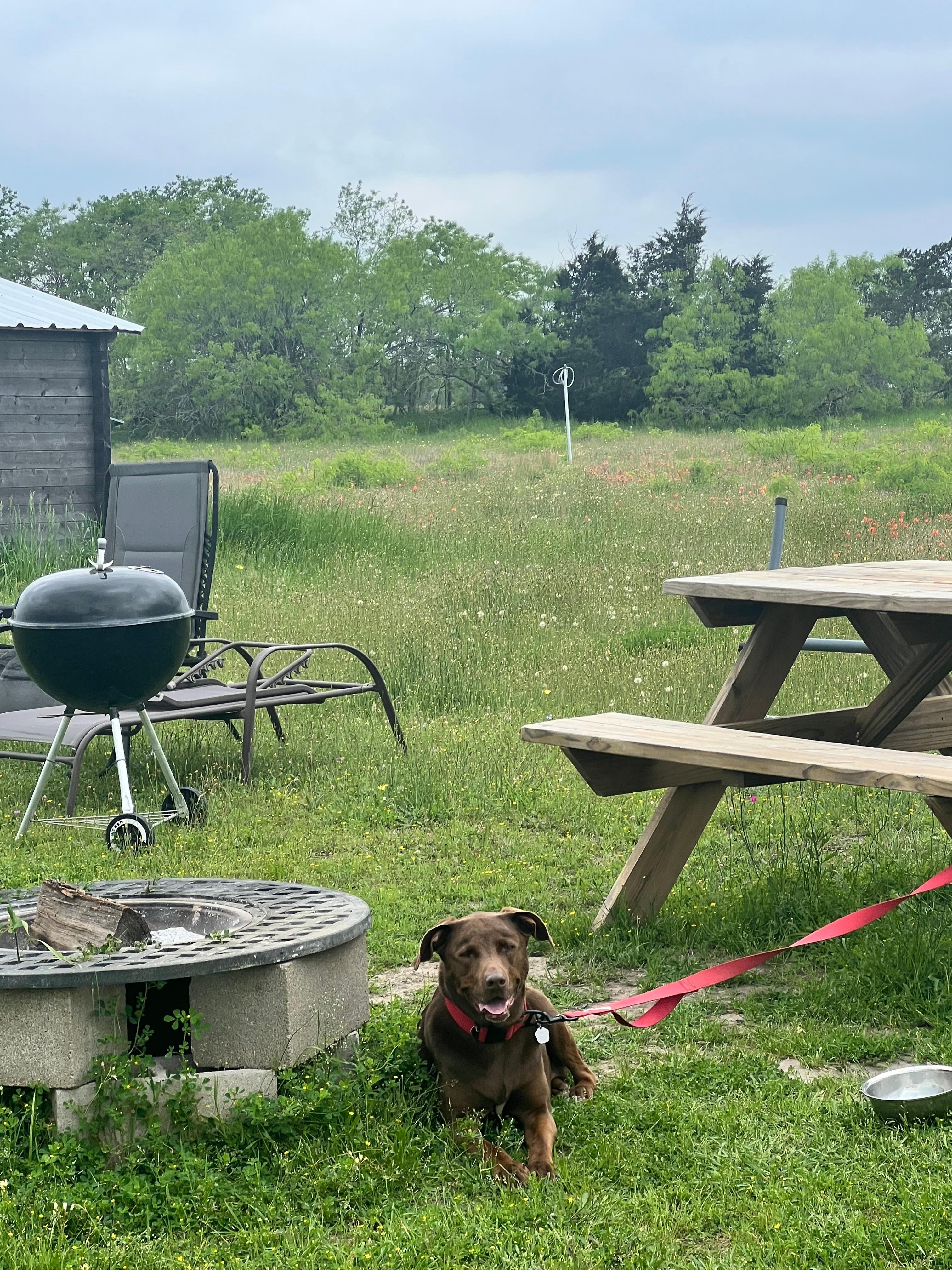 Be the Bee @ Emerald Acres 