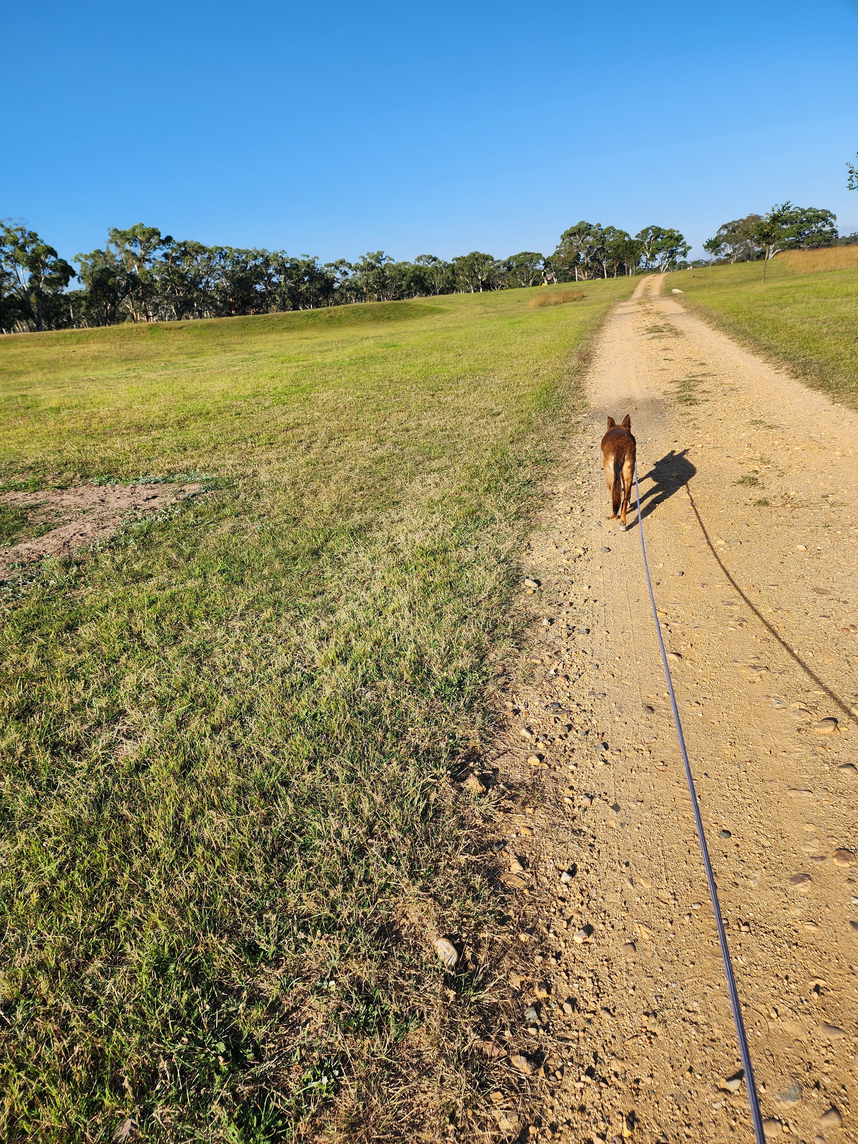 Truffle Farm Camping