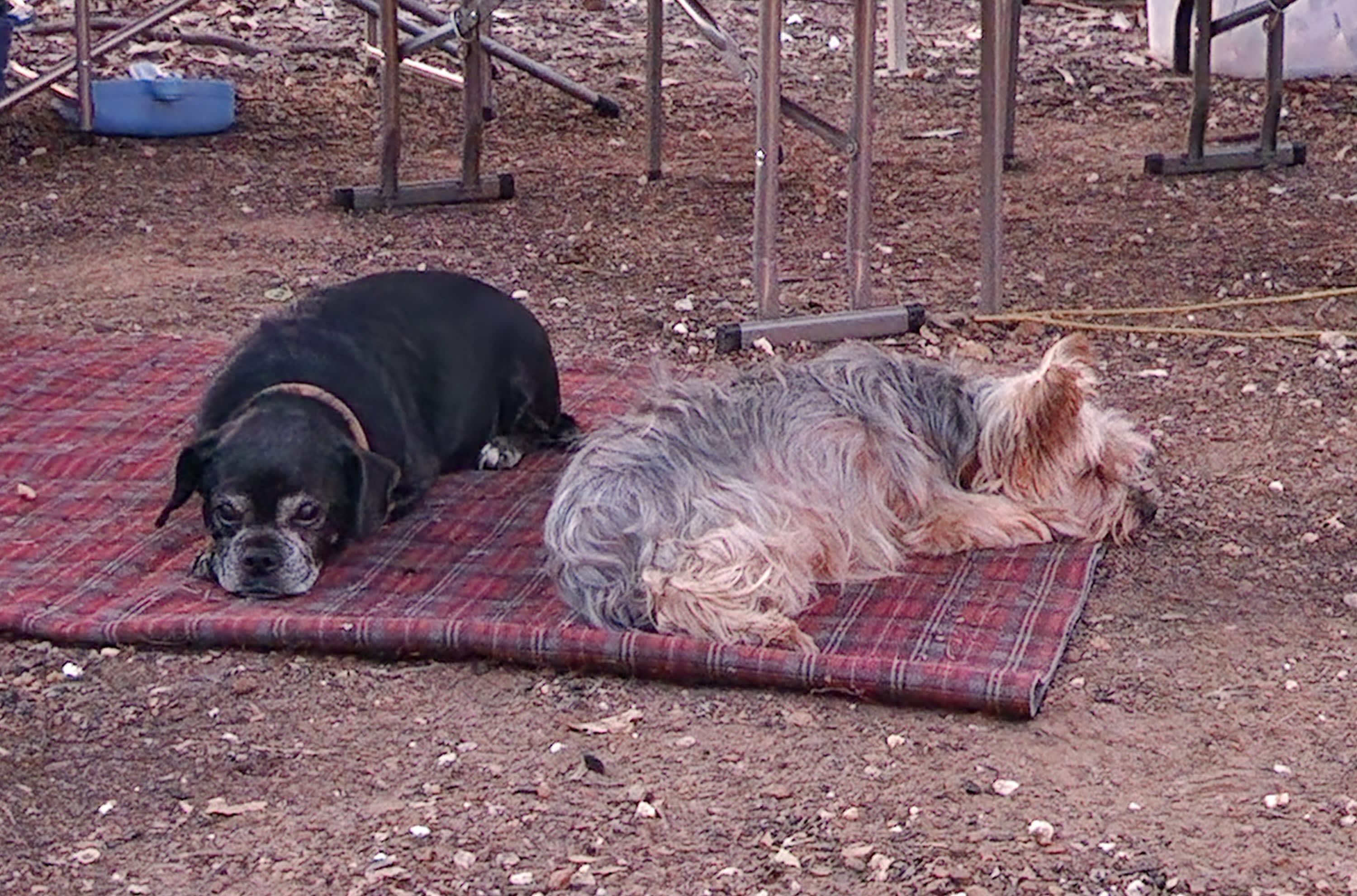 Muckleford Bush Block