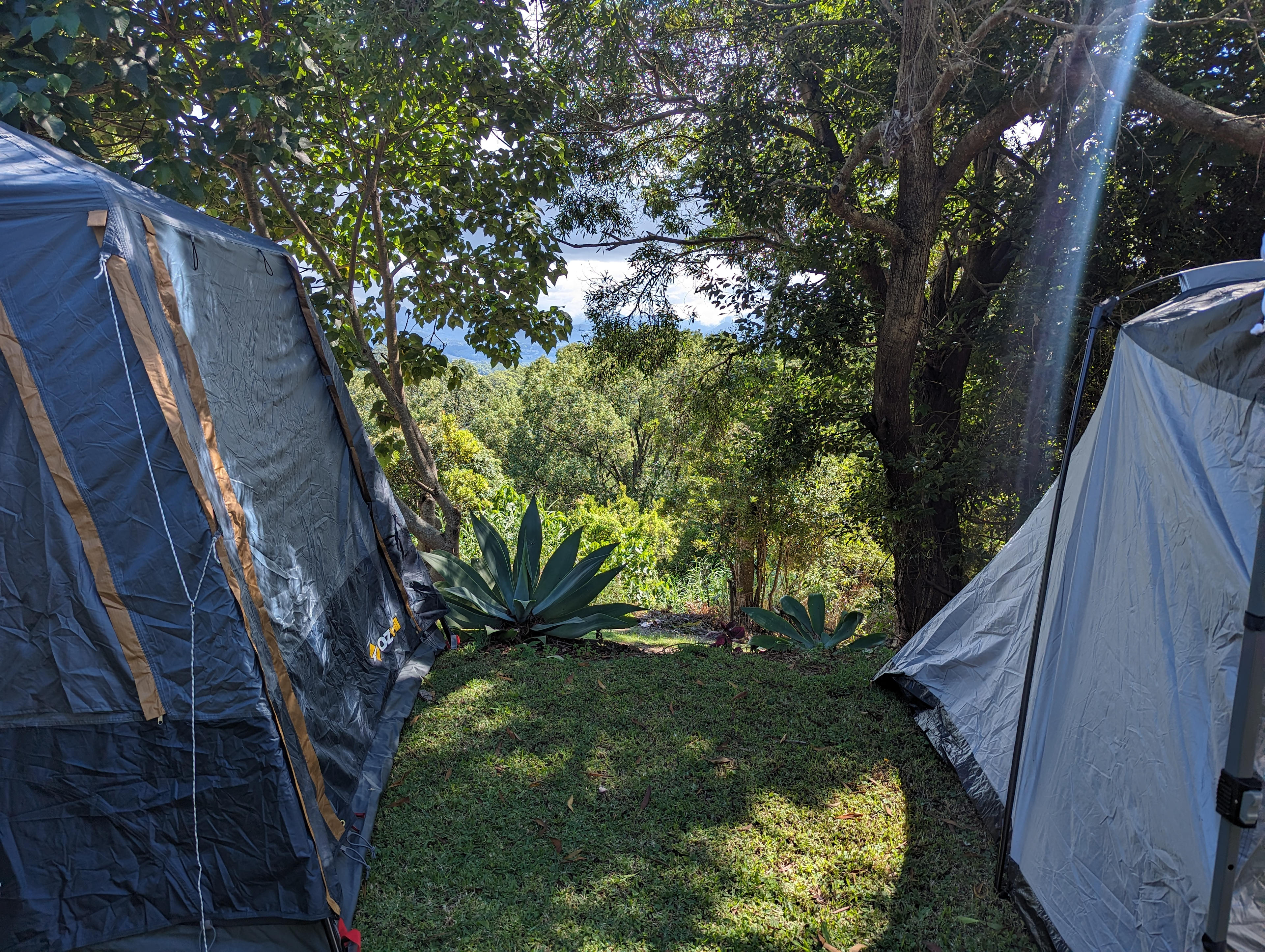 Gold Coast Hinterland Escape