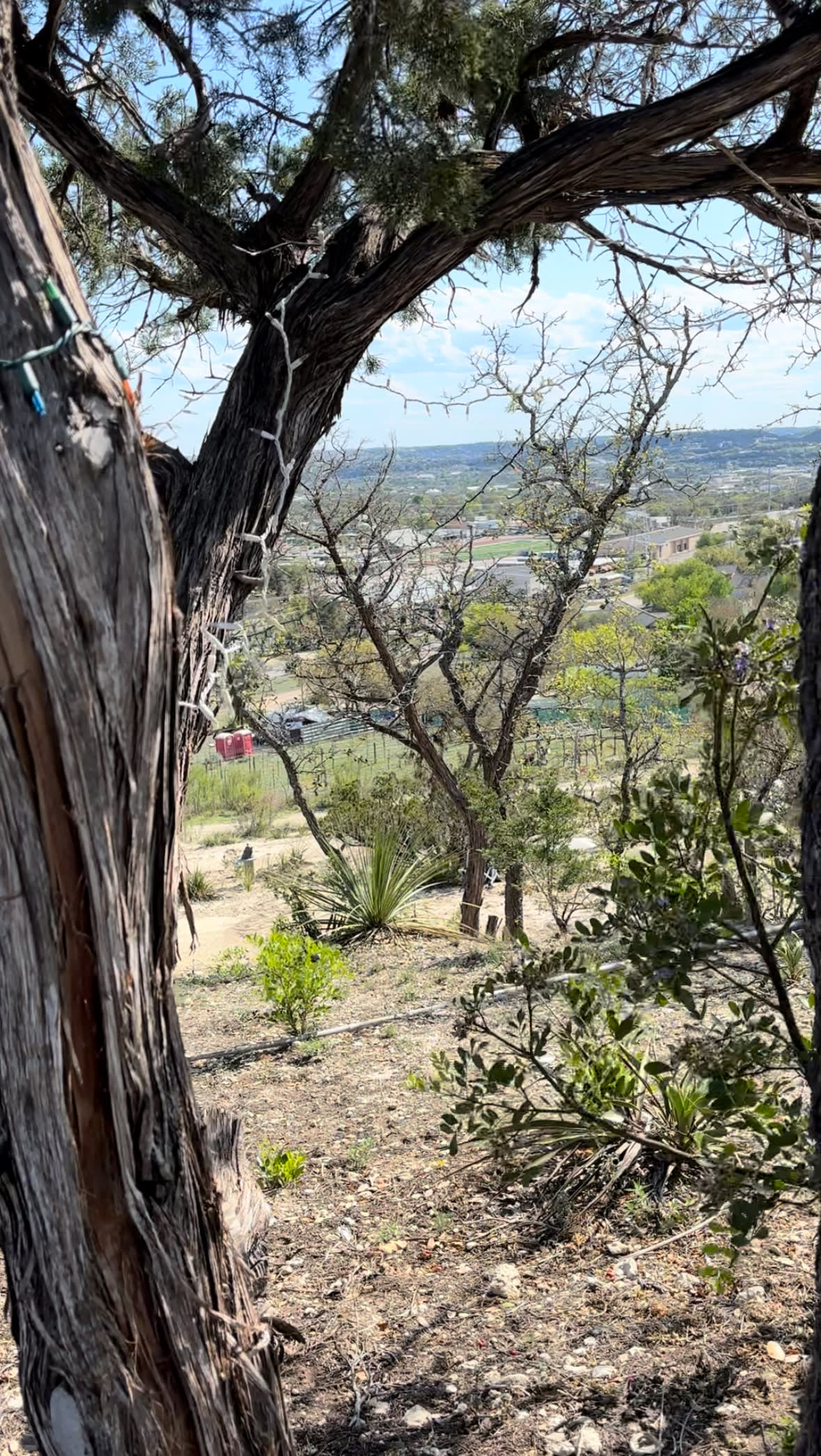 Primitive Campsites At La Vina