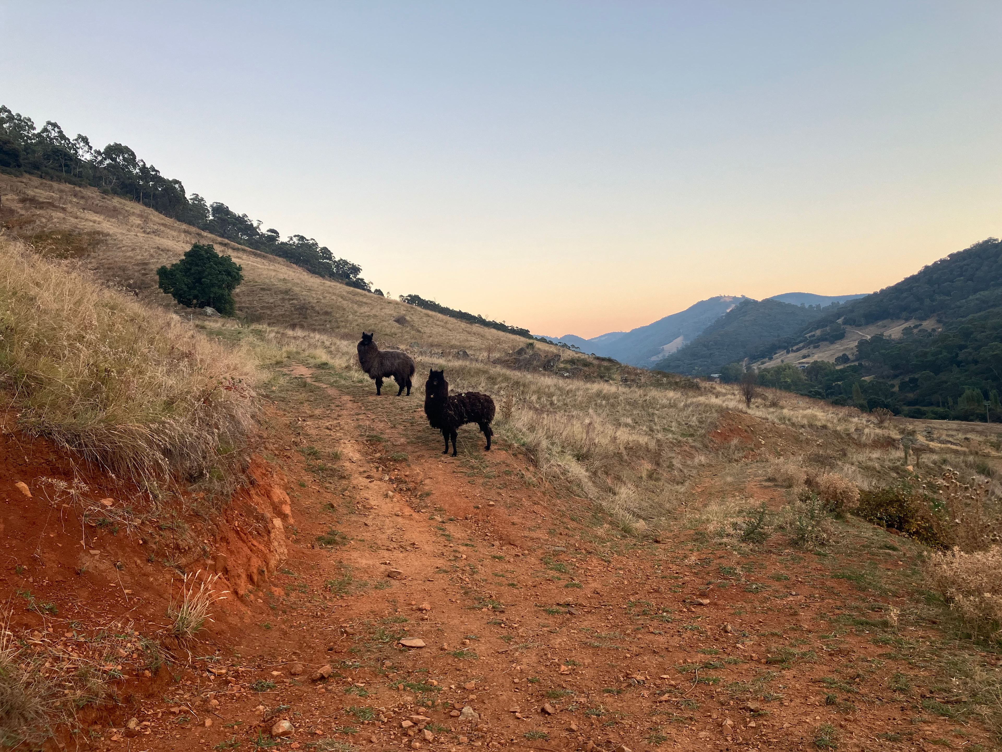 Valley views