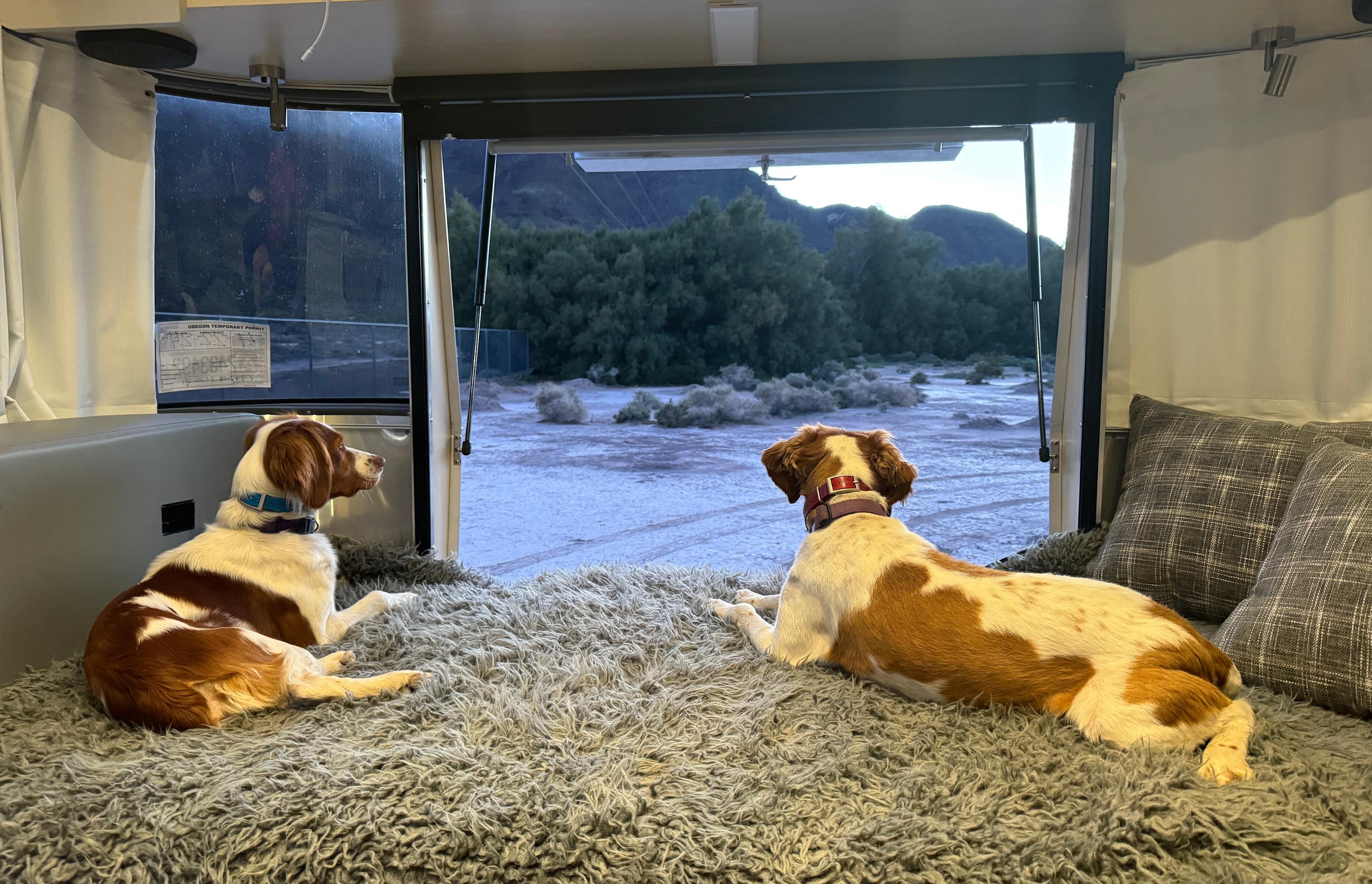 View of back of property and Newberry Spring Mountains