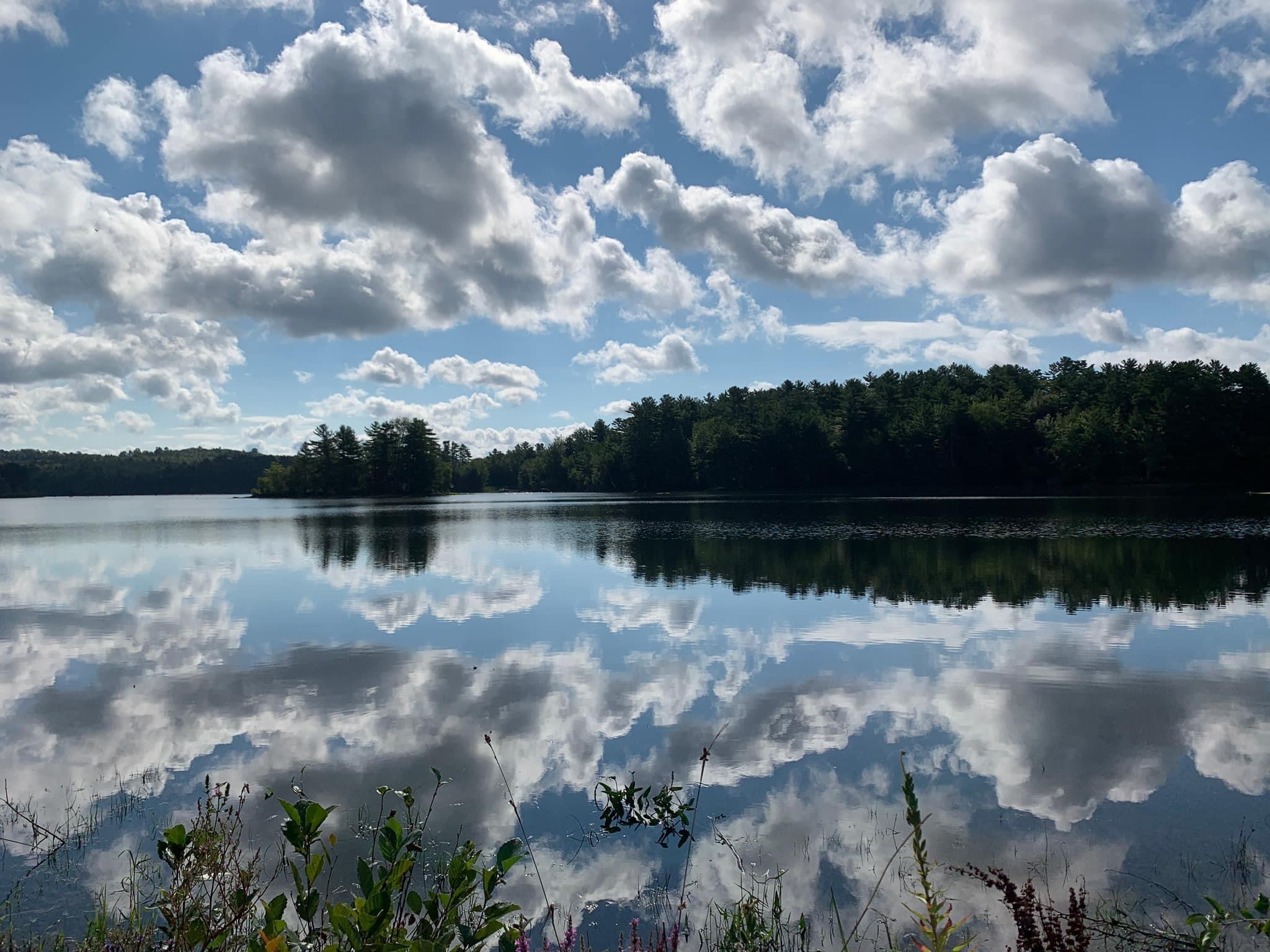 Waters Edge @ Eweturnfarm