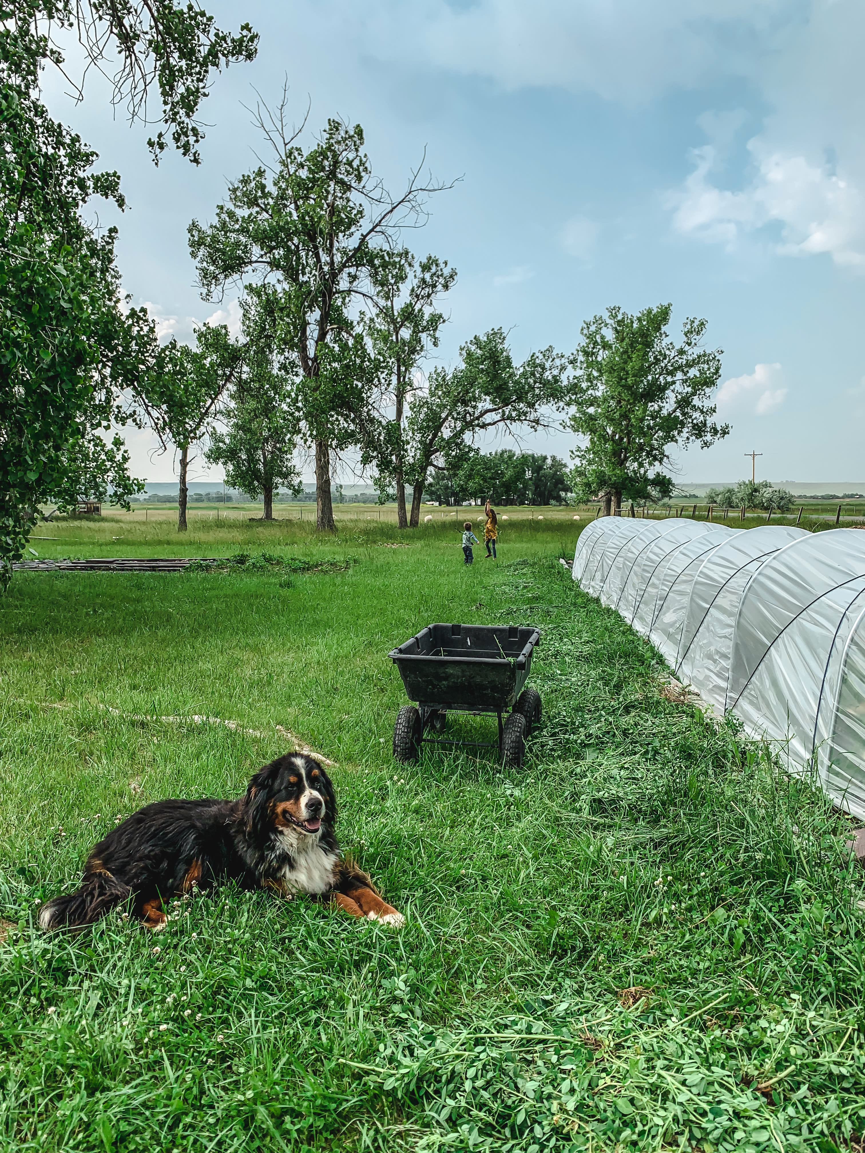 Hardda Farm Site