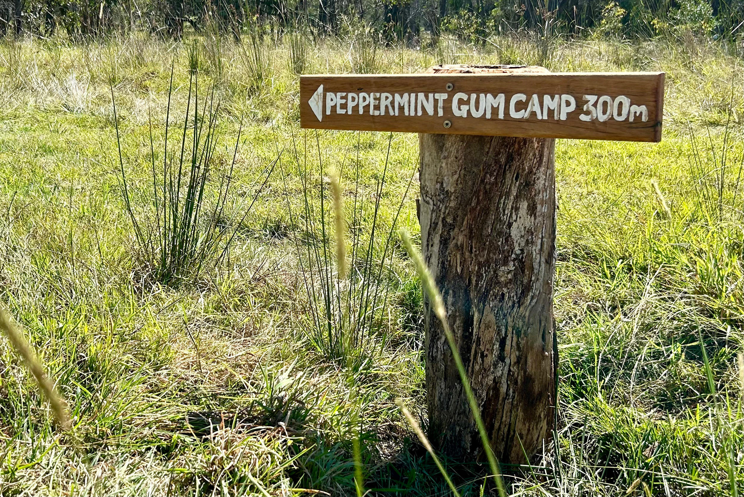 Southern Tablelands Bush Camping