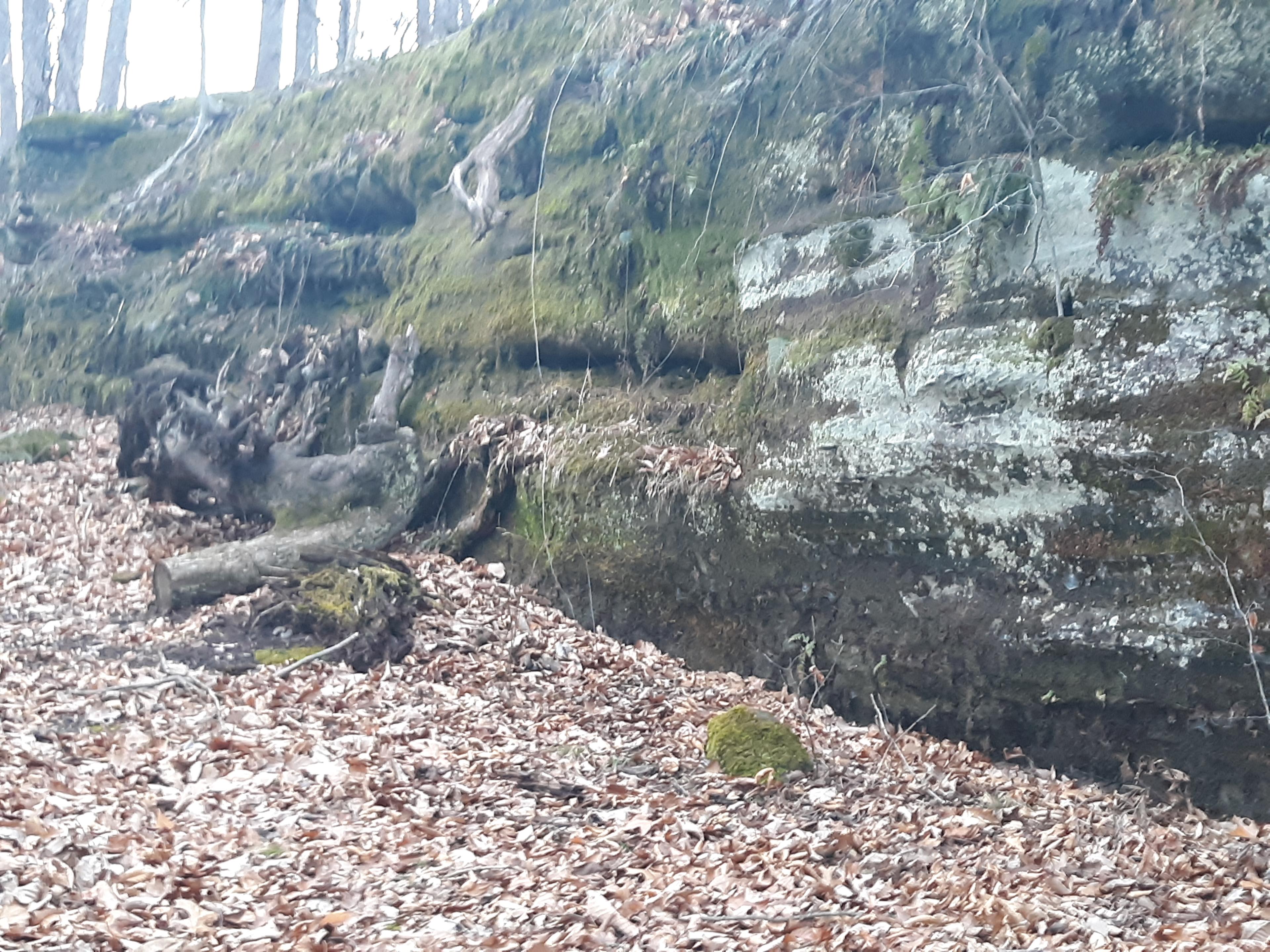 Large rocks of glacial till!