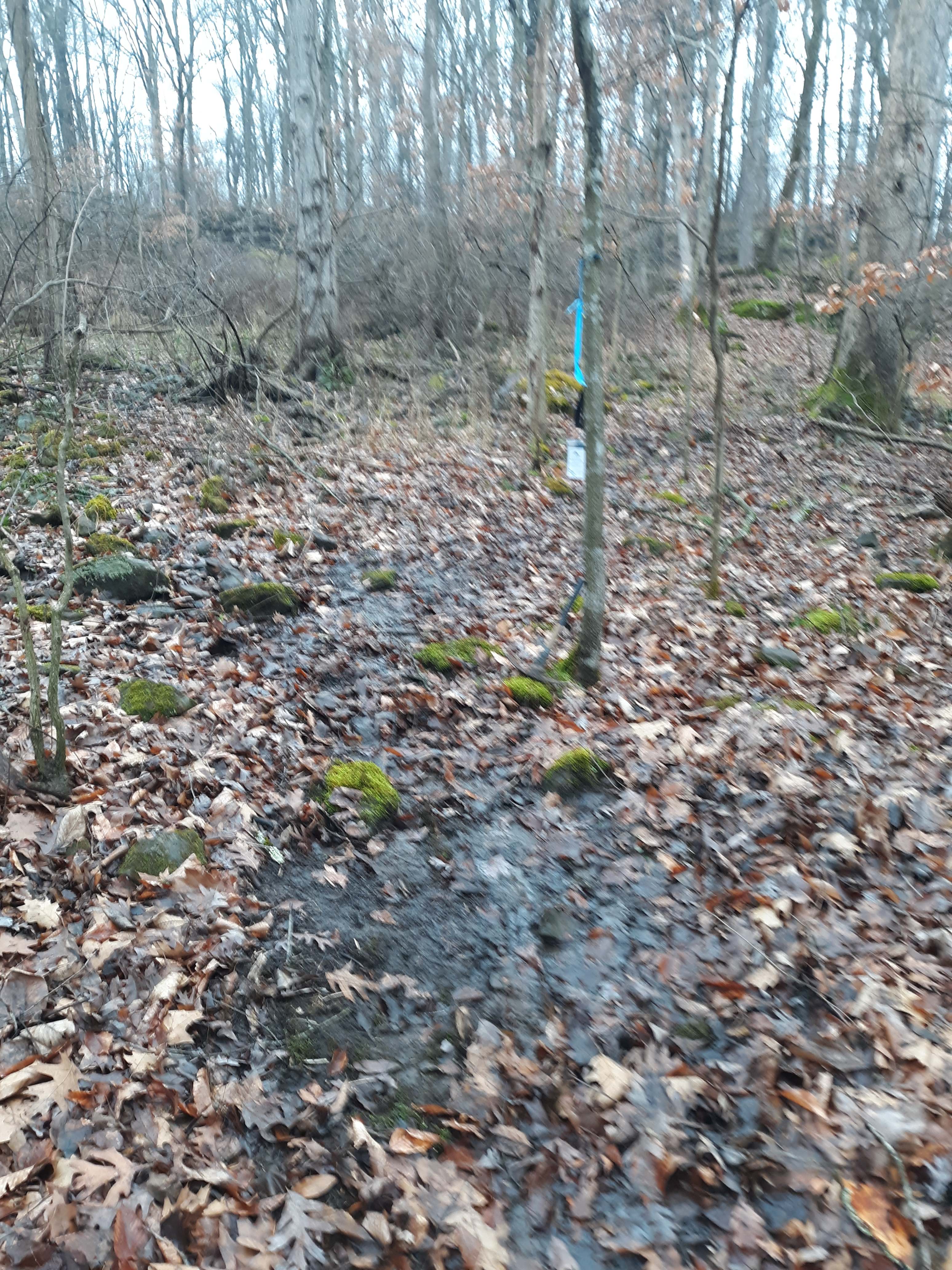 The nature trail can be wet at times and is rocky in spots. Wear good ankle 
support and carry a walking stick! Avoid trips and falls.