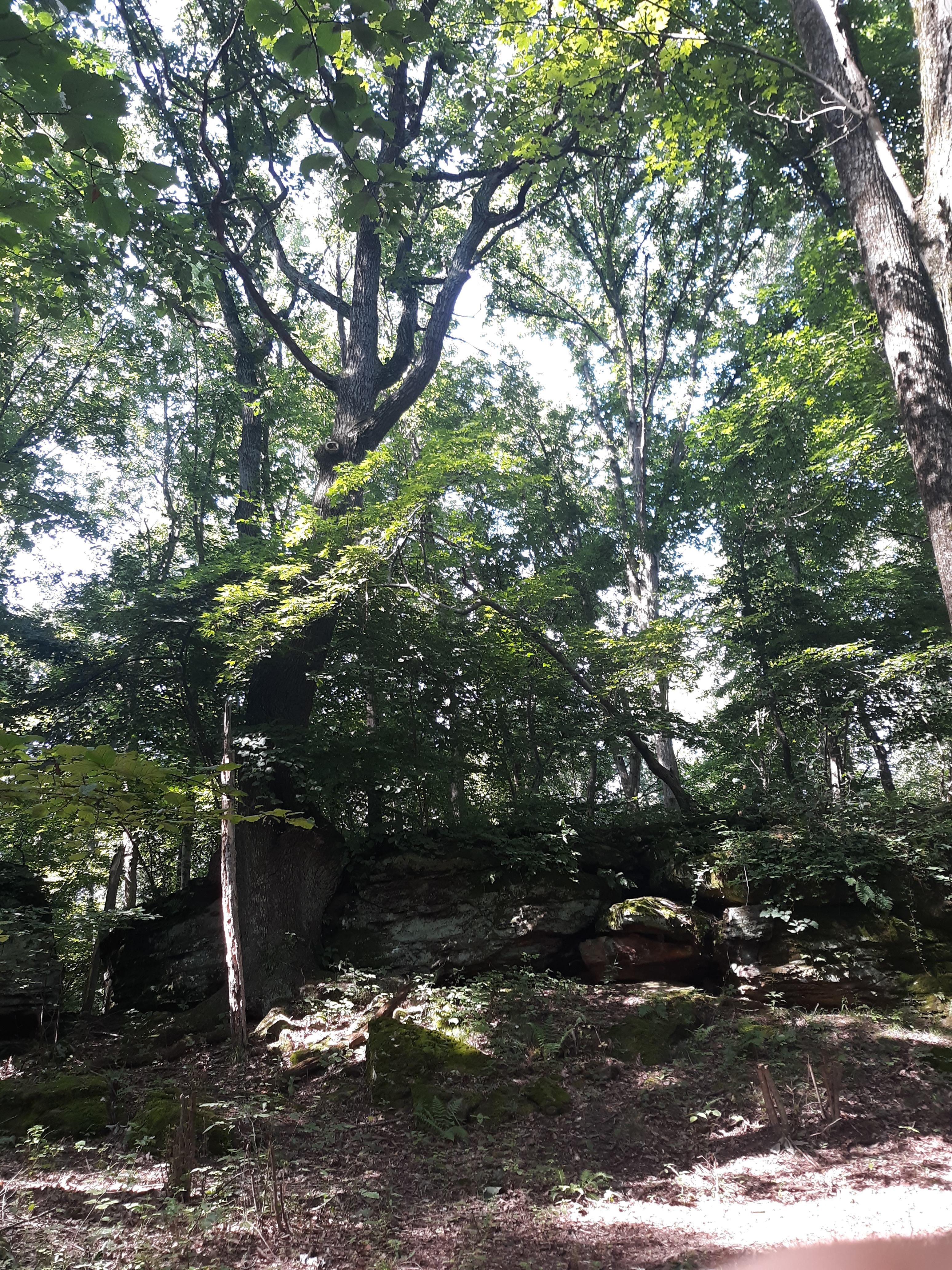 Edge of the Ledge Camp