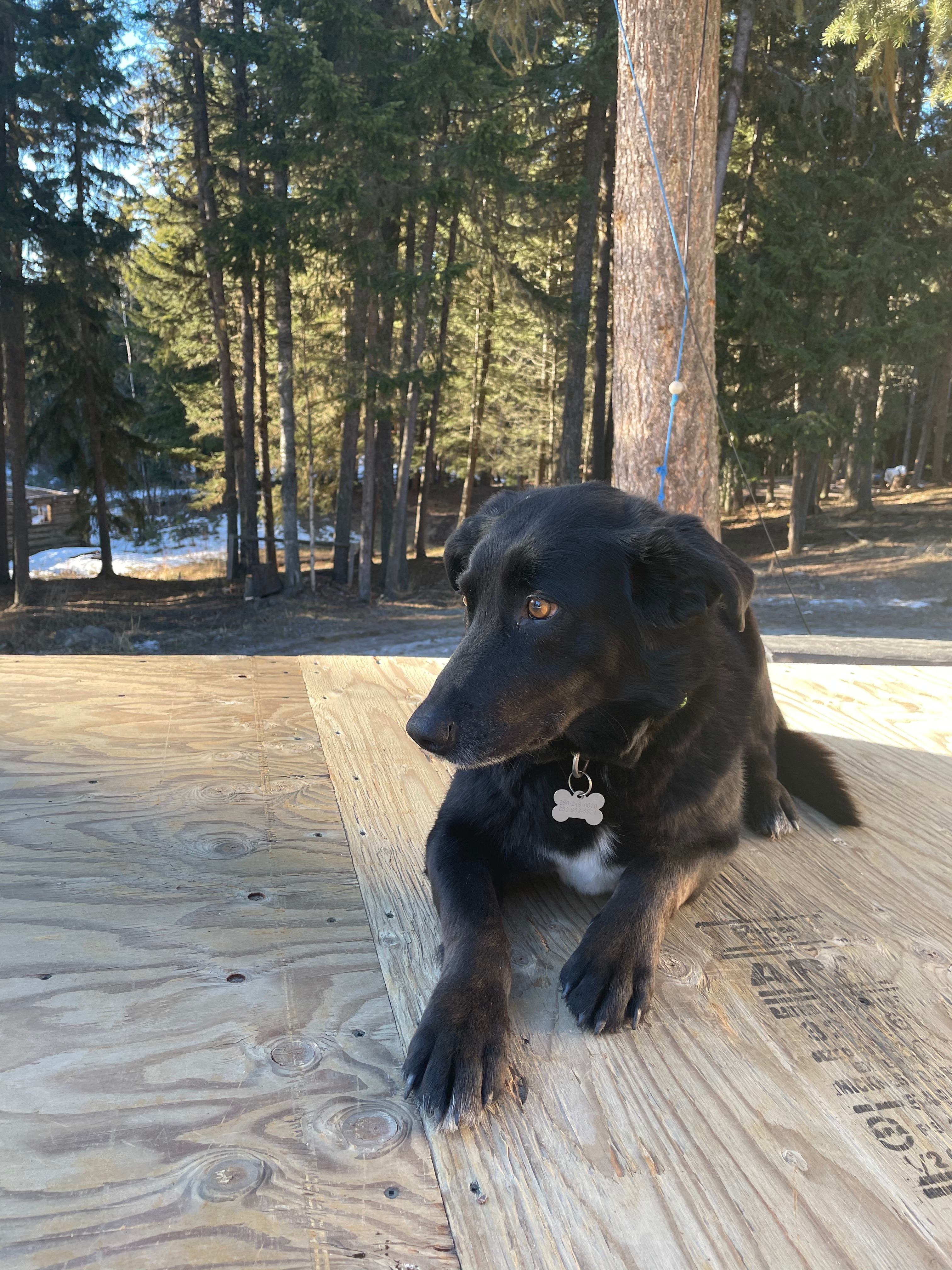 CaloWarren Crossing Farm