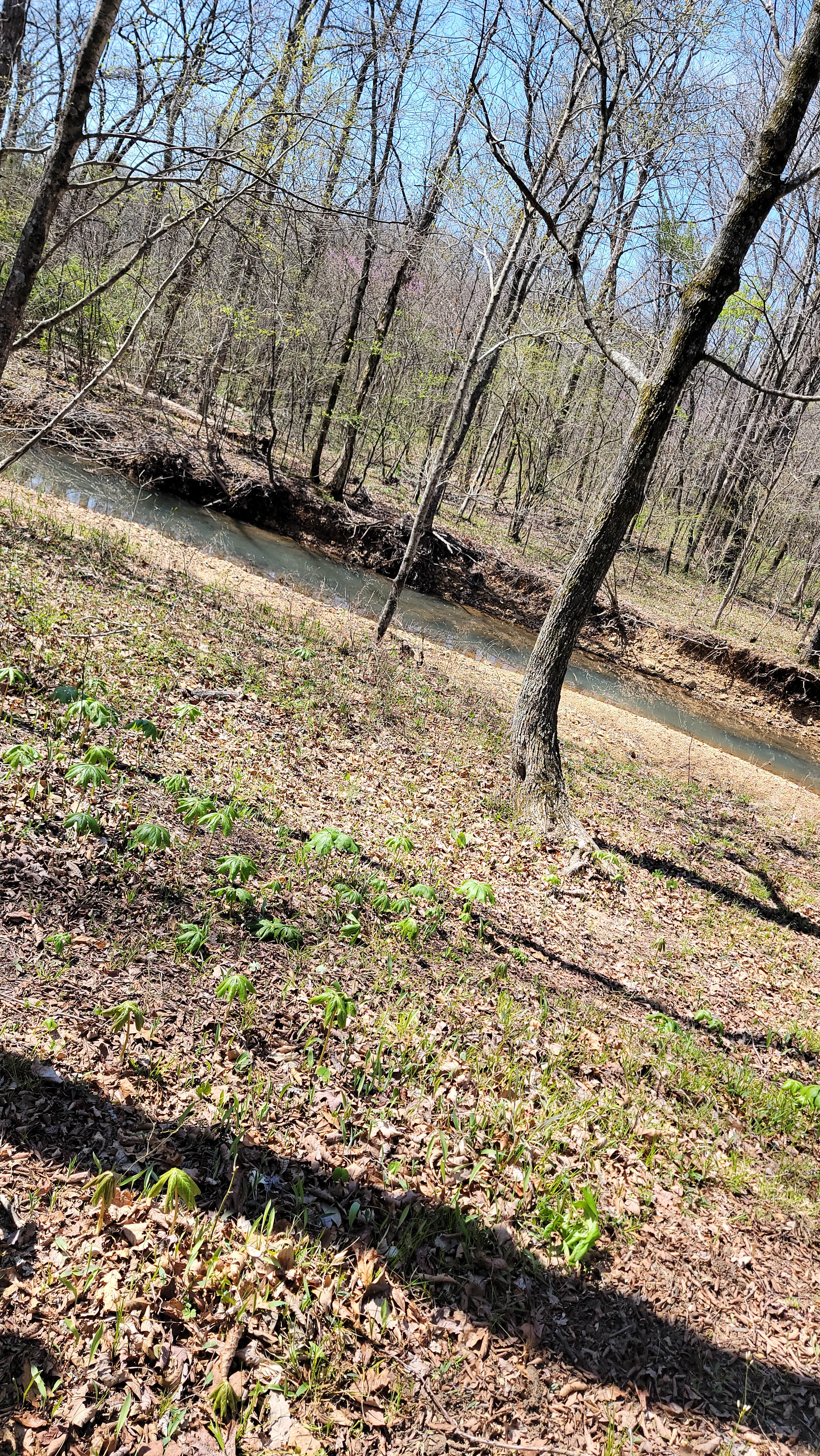 Rocky Creek Camp